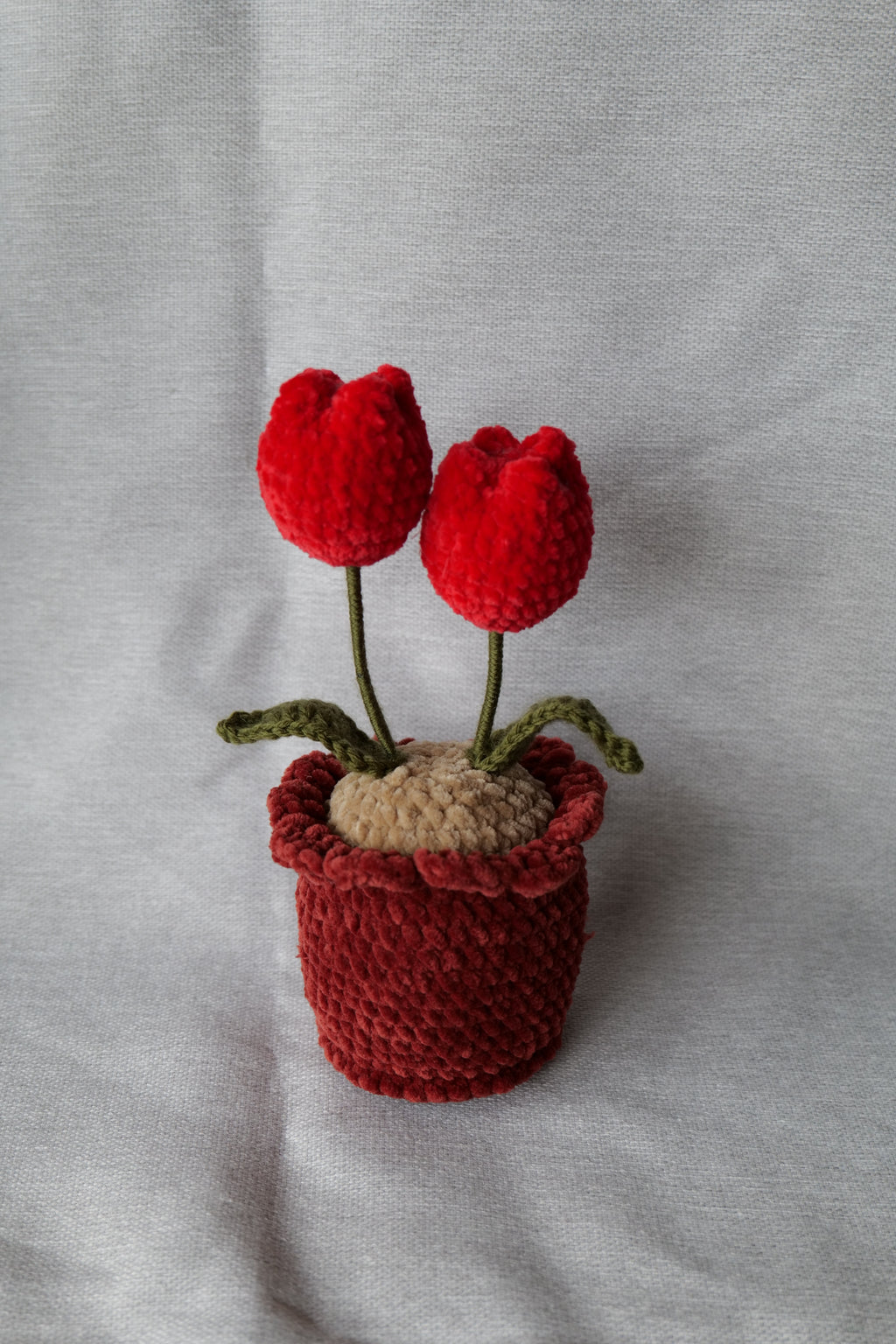 Tulipes en pot