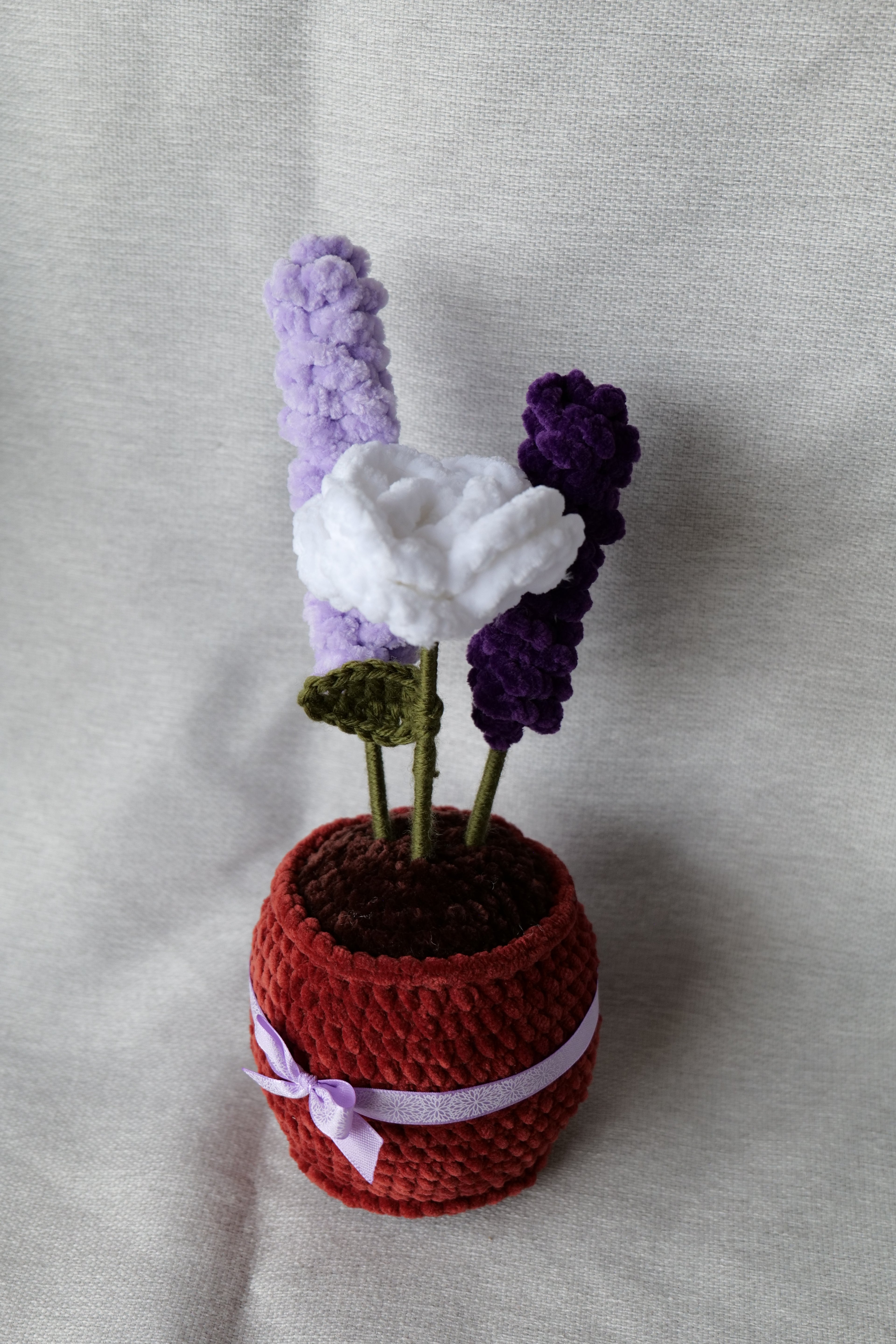 La rose et ses lavandes