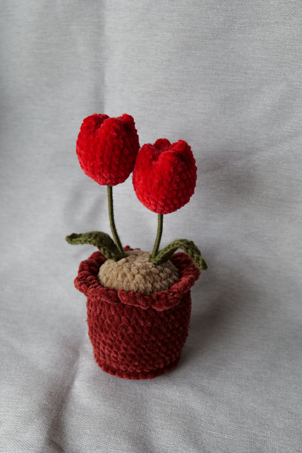 Tulipes en pot