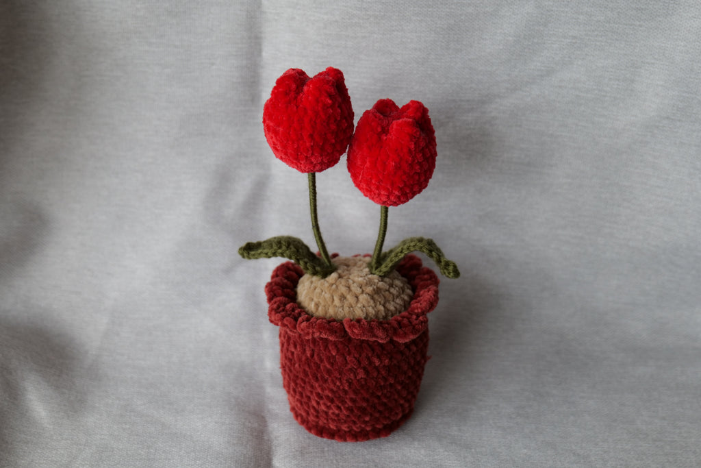 Tulipes en pot