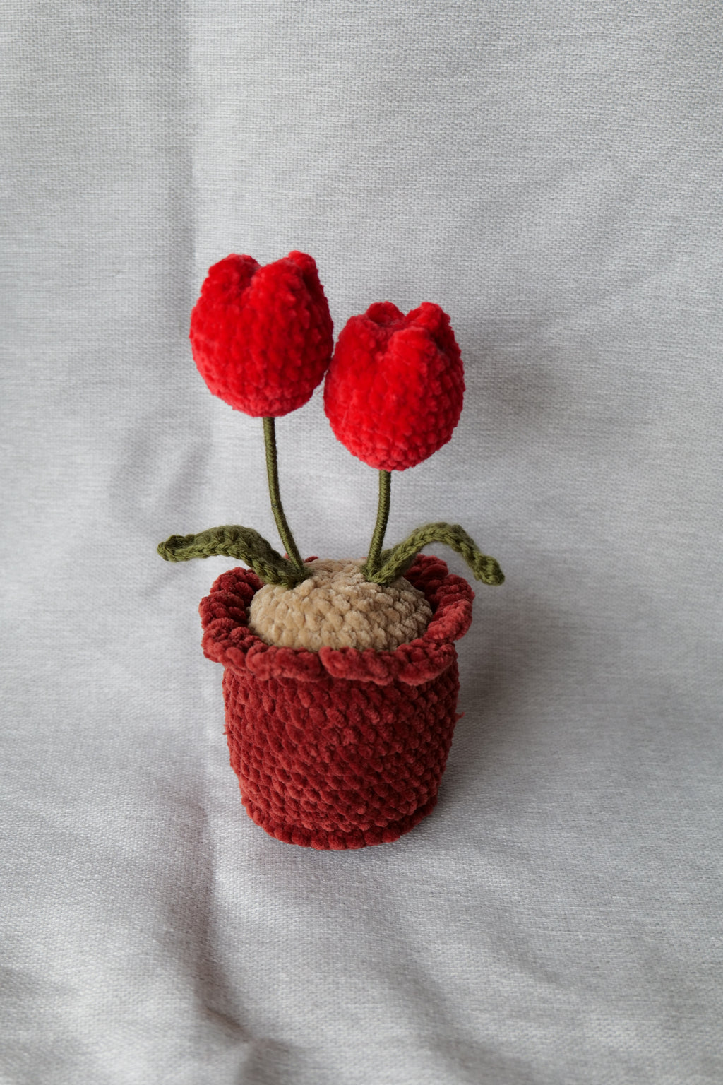 Tulipes en pot