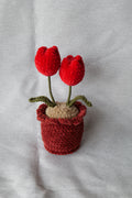 Tulipes en pot