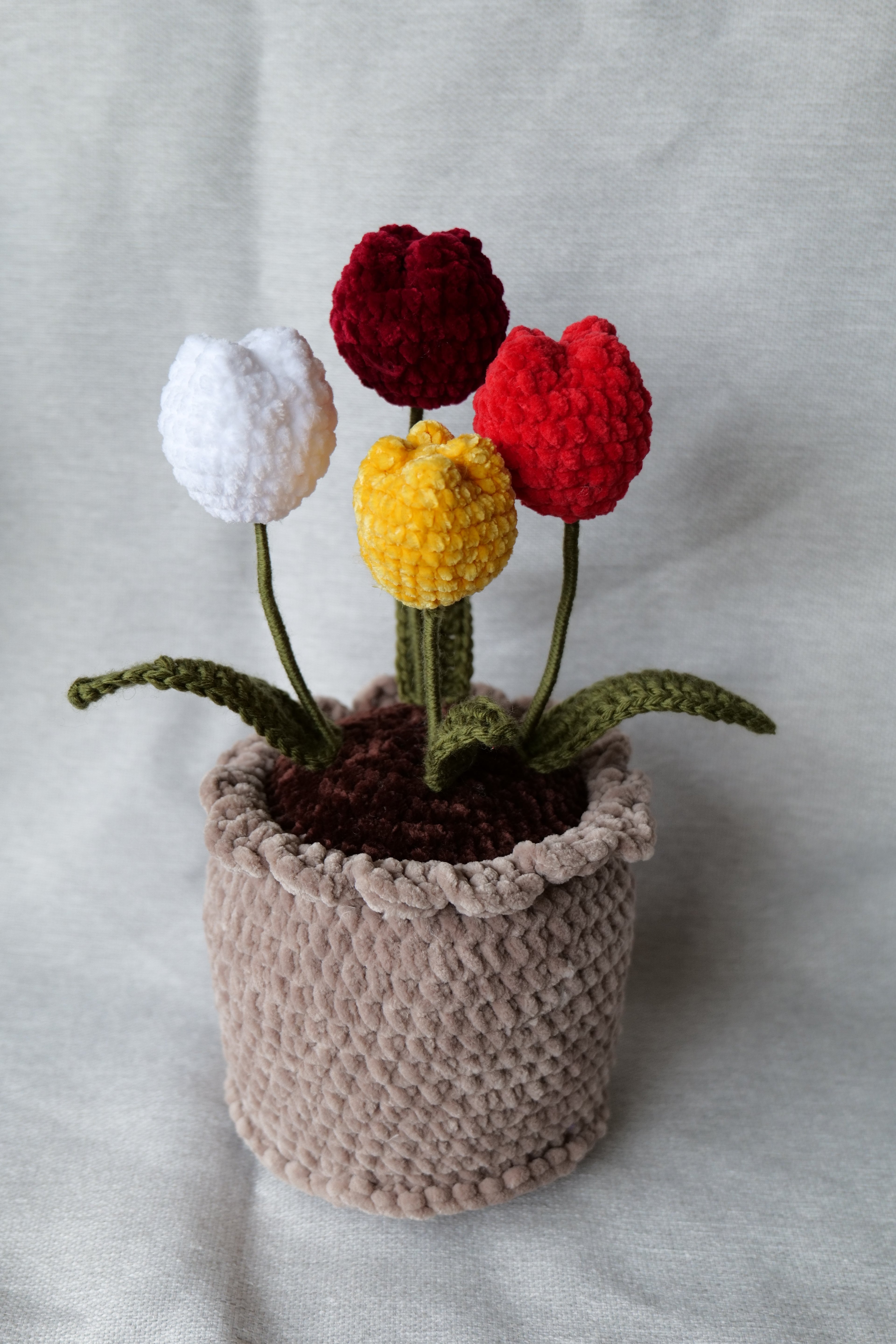 4 Tulipes en pot