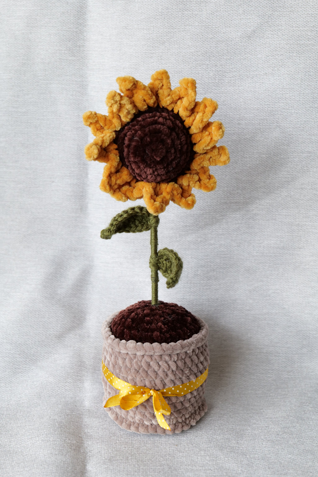 Tournesol en pot