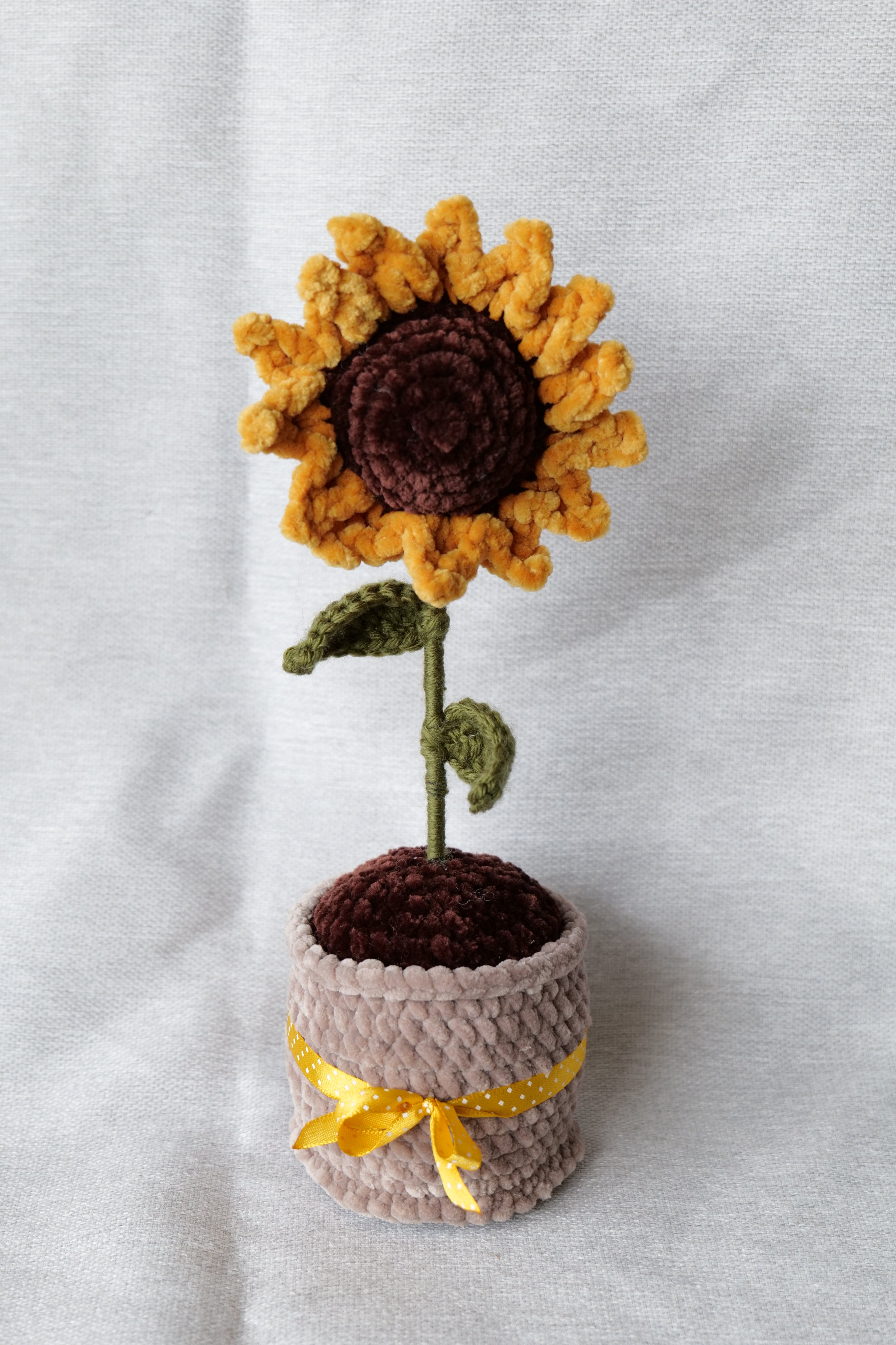 Tournesol en pot