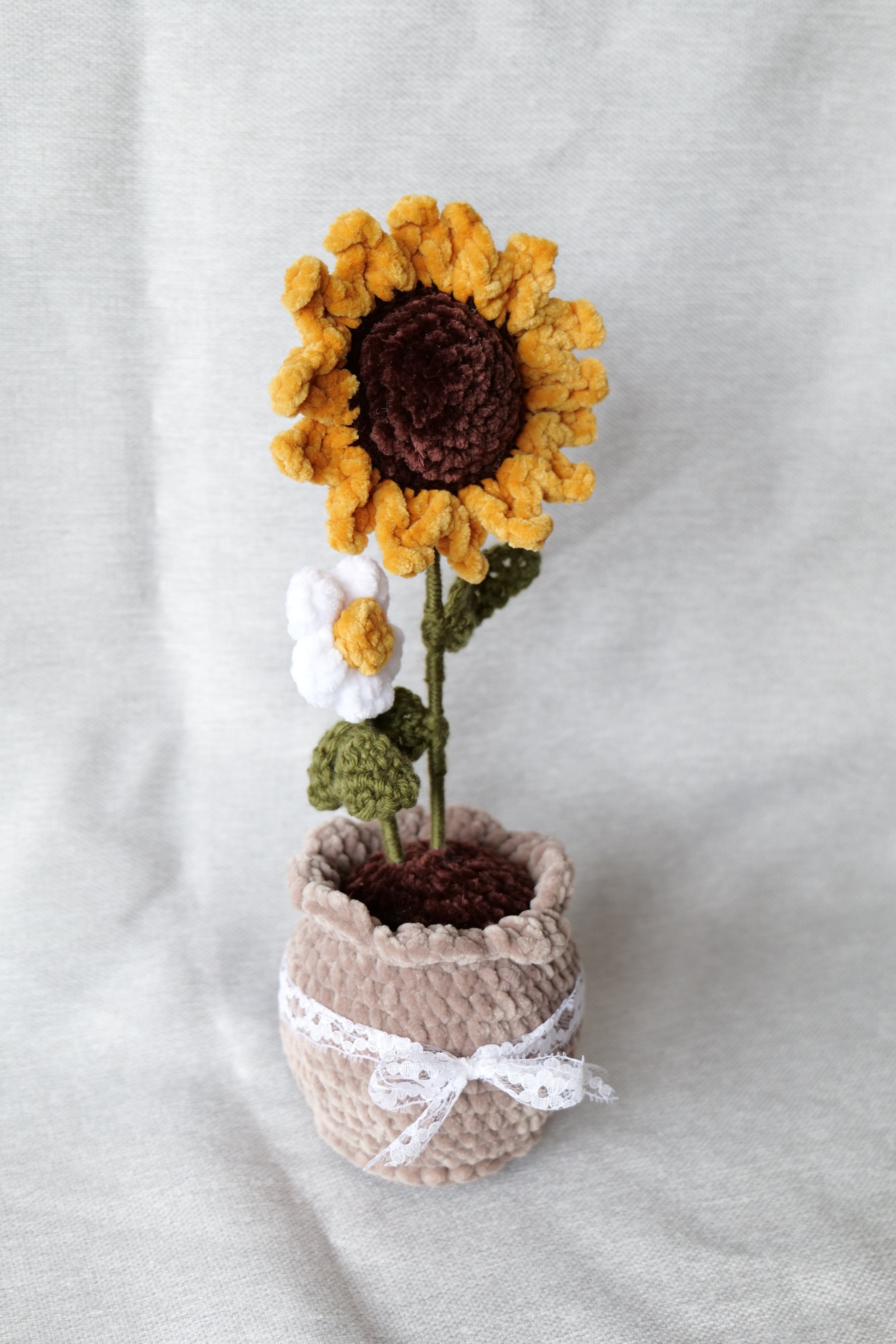 Tournesol et sa petite fleur