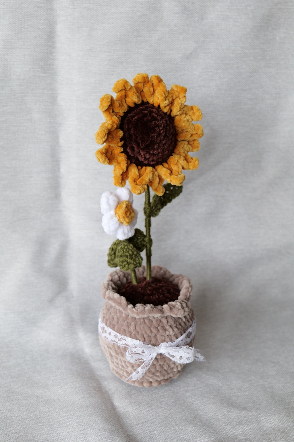 Tournesol et sa petite fleur