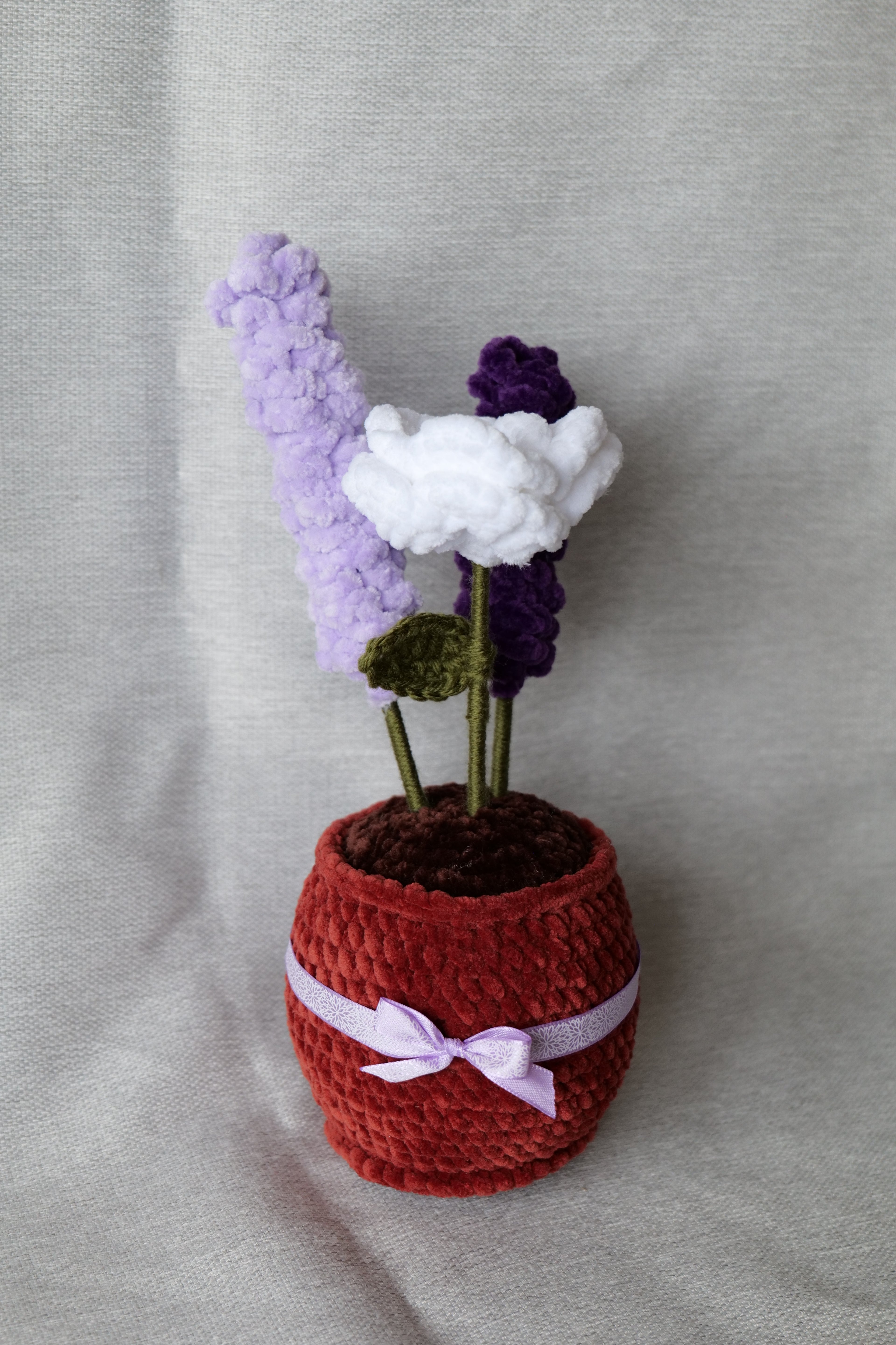 La rose et ses lavandes