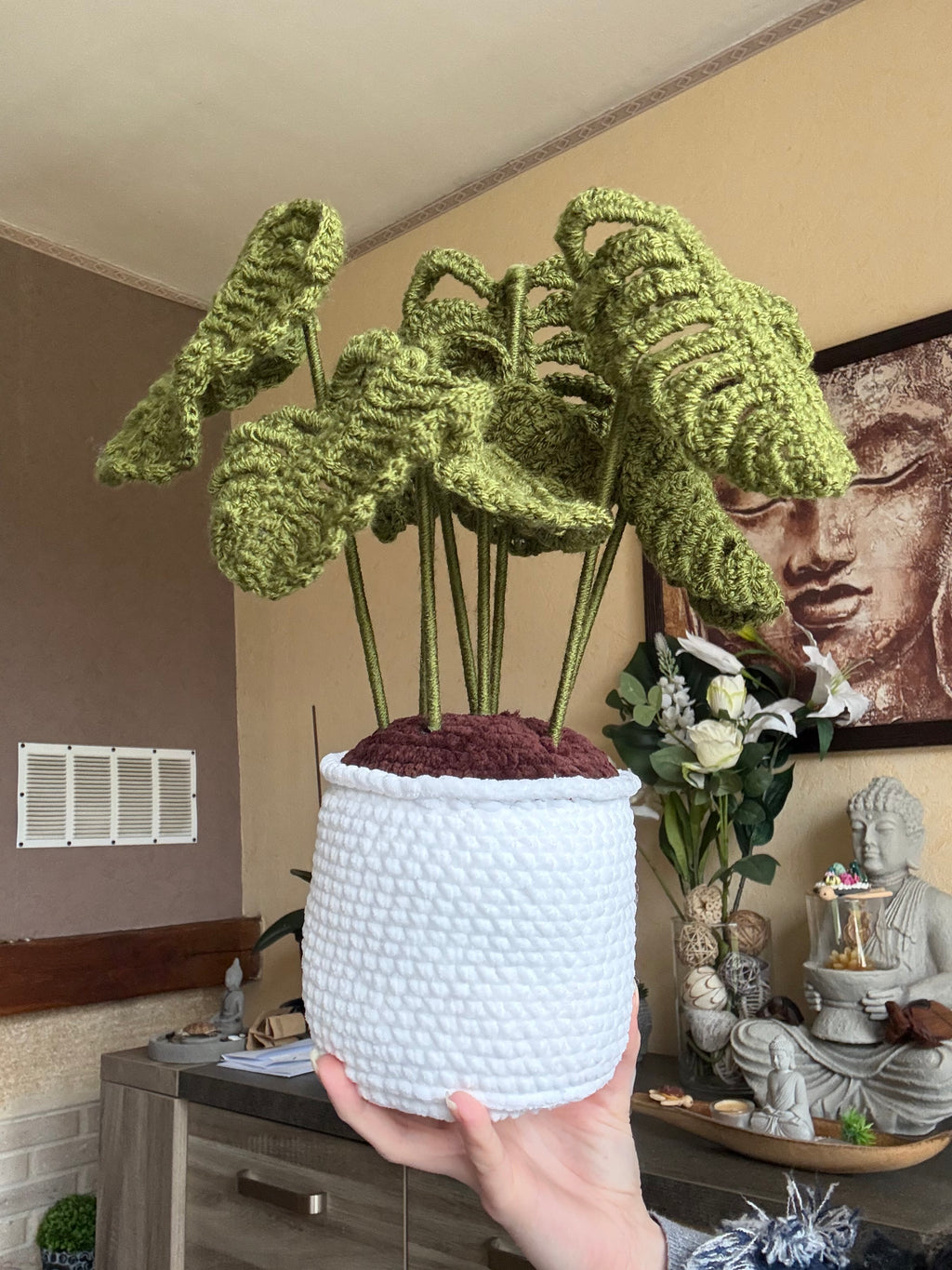 Plante Monstera Big size