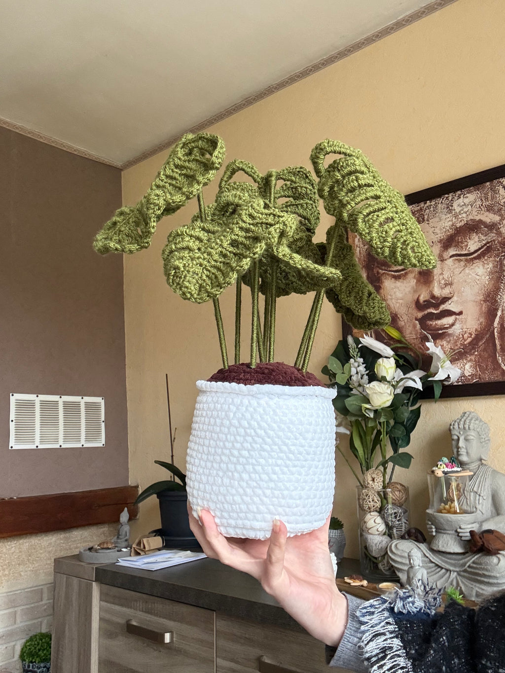 Plante Monstera Big size