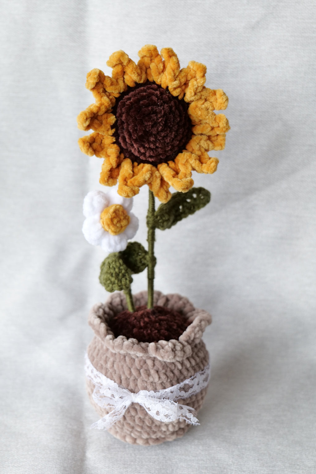 Tournesol et sa petite fleur