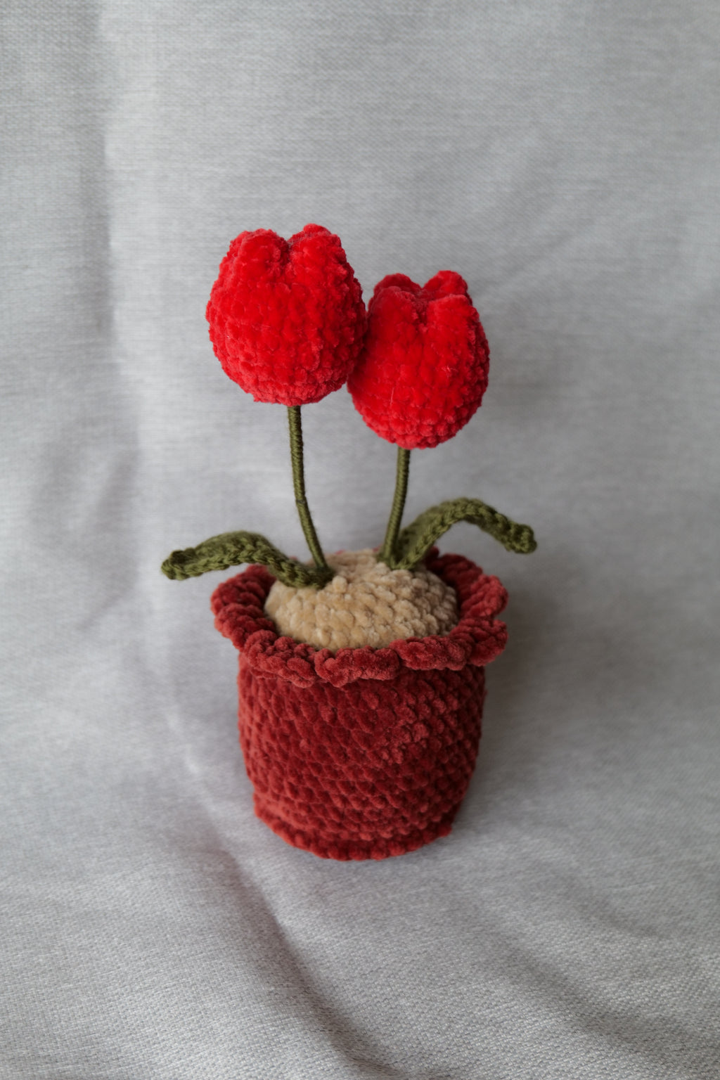 Tulipes en pot