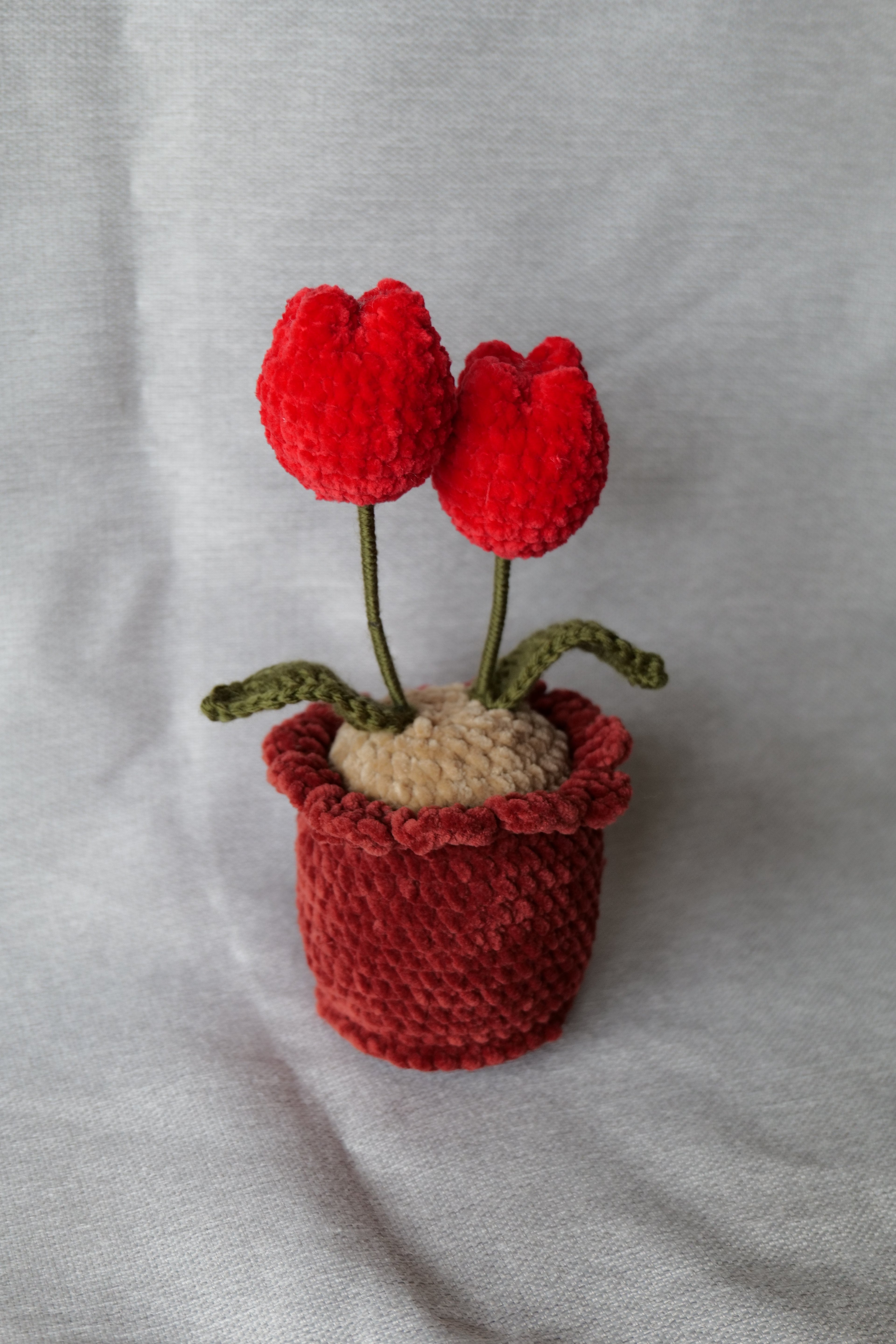 Tulipes en pot