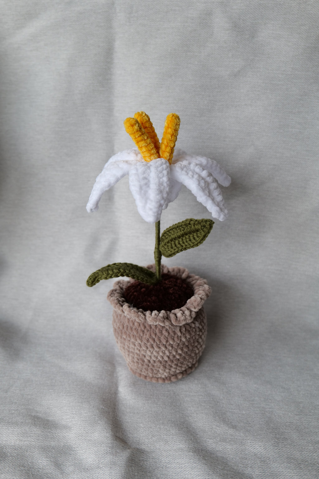 Lys en pot