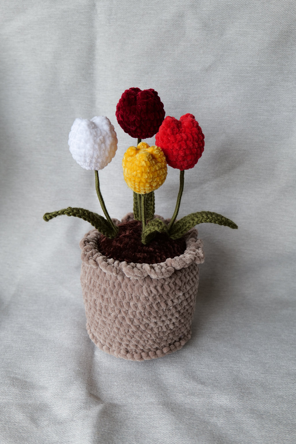 4 Tulipes en pot