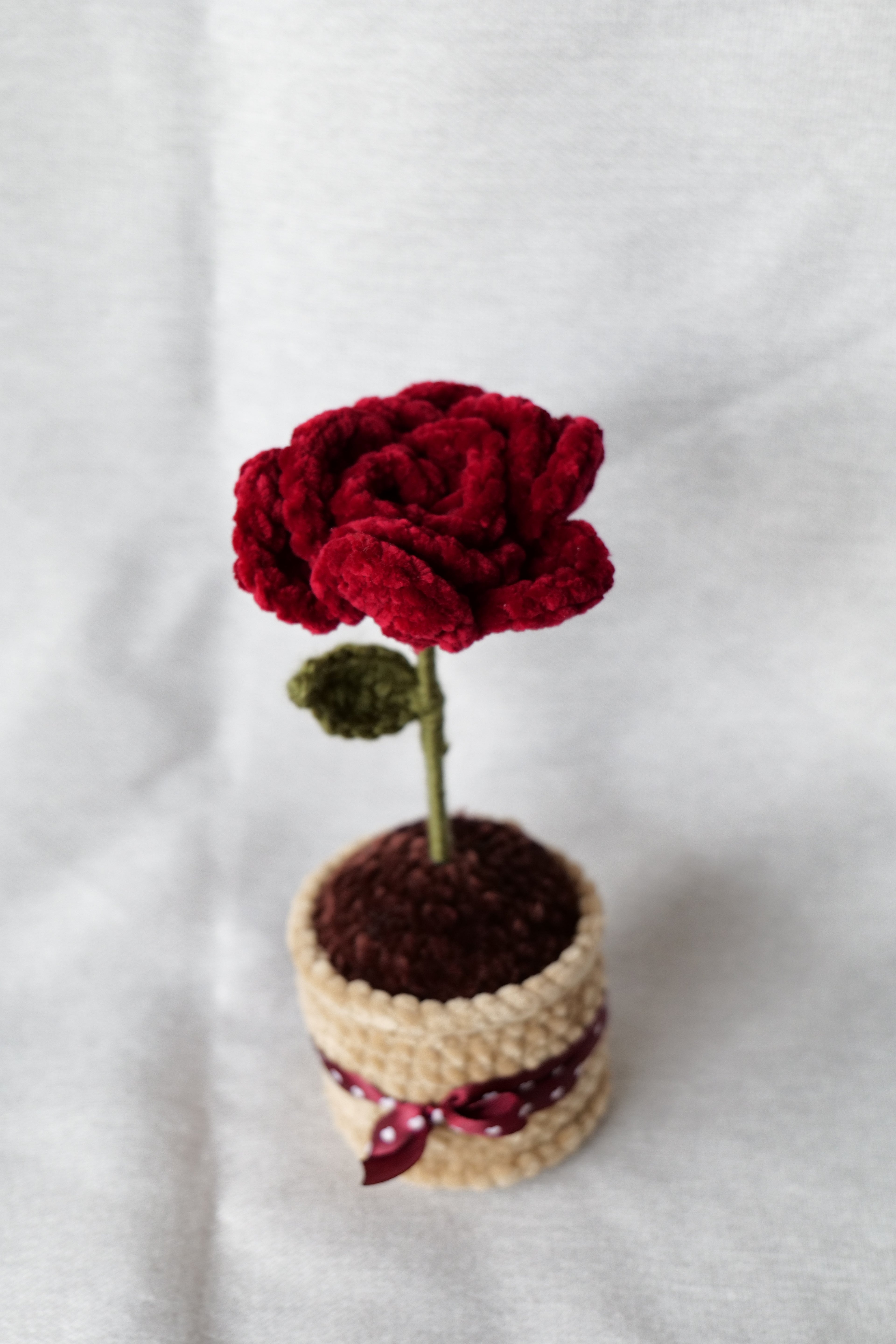 Rose Éternelle