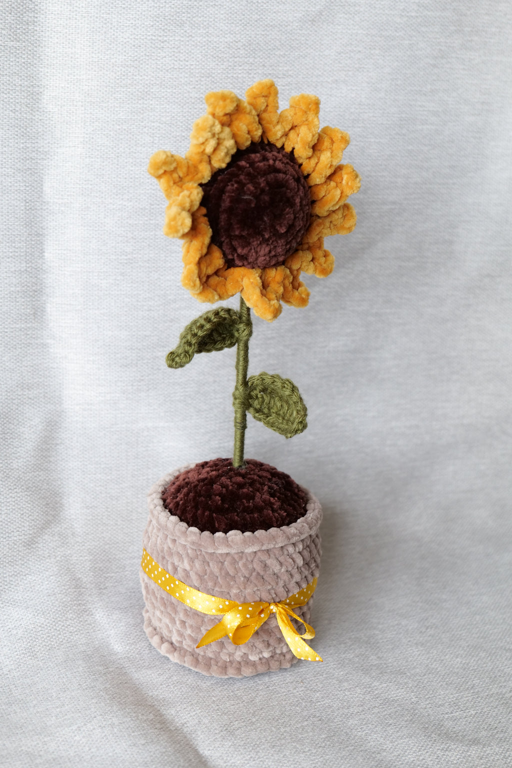 Tournesol en pot