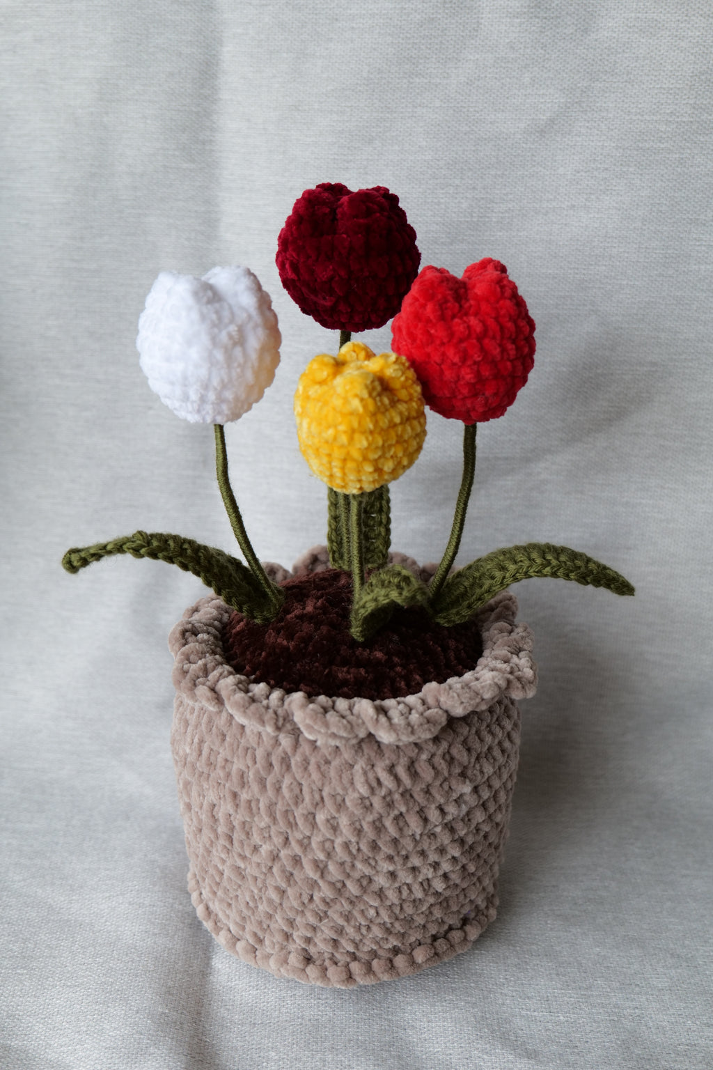 4 Tulipes en pot