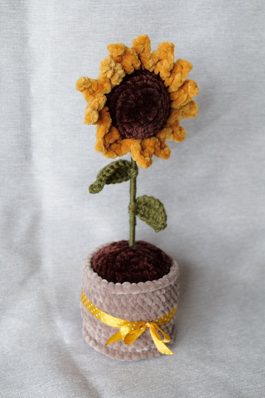 Tournesol en pot