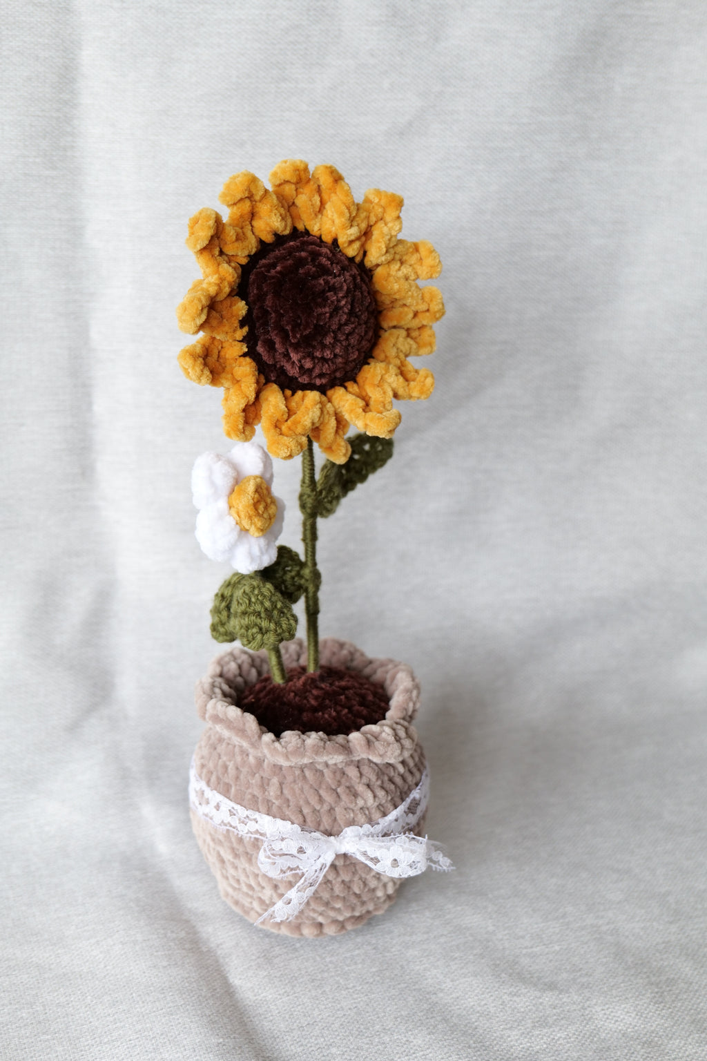 Tournesol et sa petite fleur