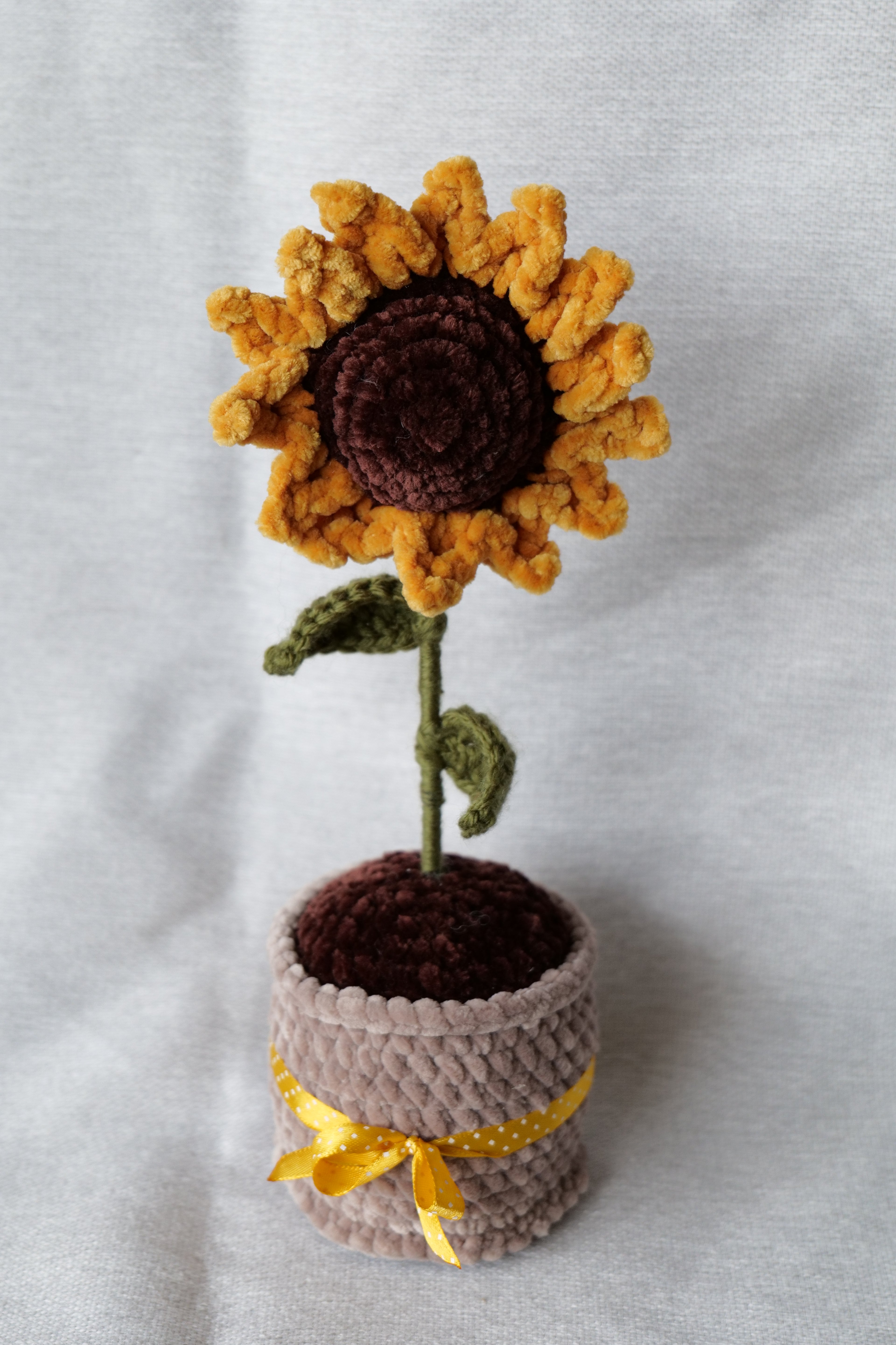 Tournesol en pot