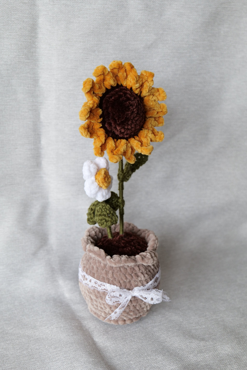 Tournesol et sa petite fleur