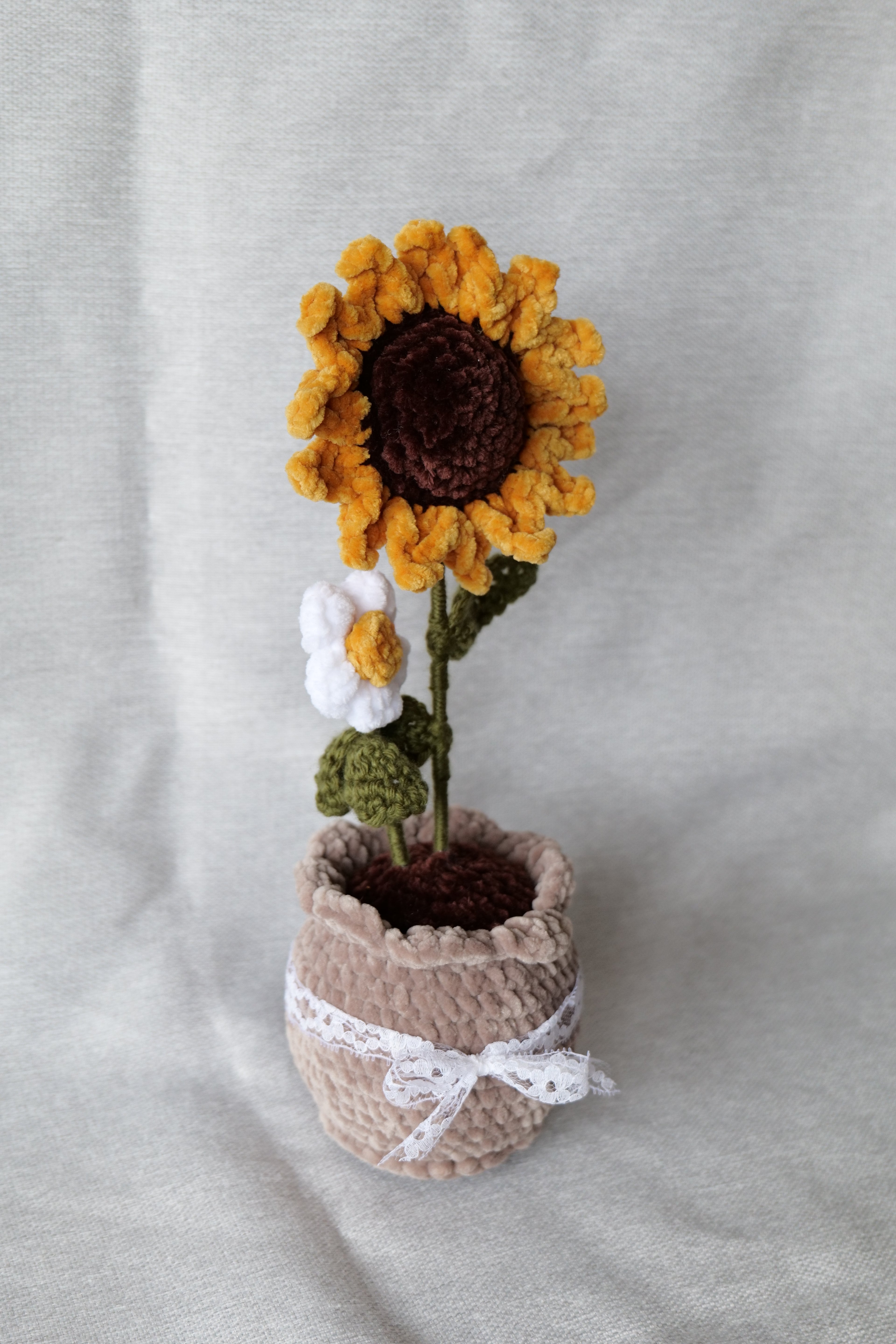 Tournesol et sa petite fleur