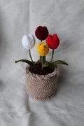 4 Tulipes en pot