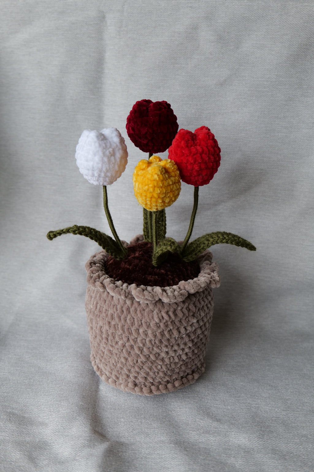 4 Tulipes en pot