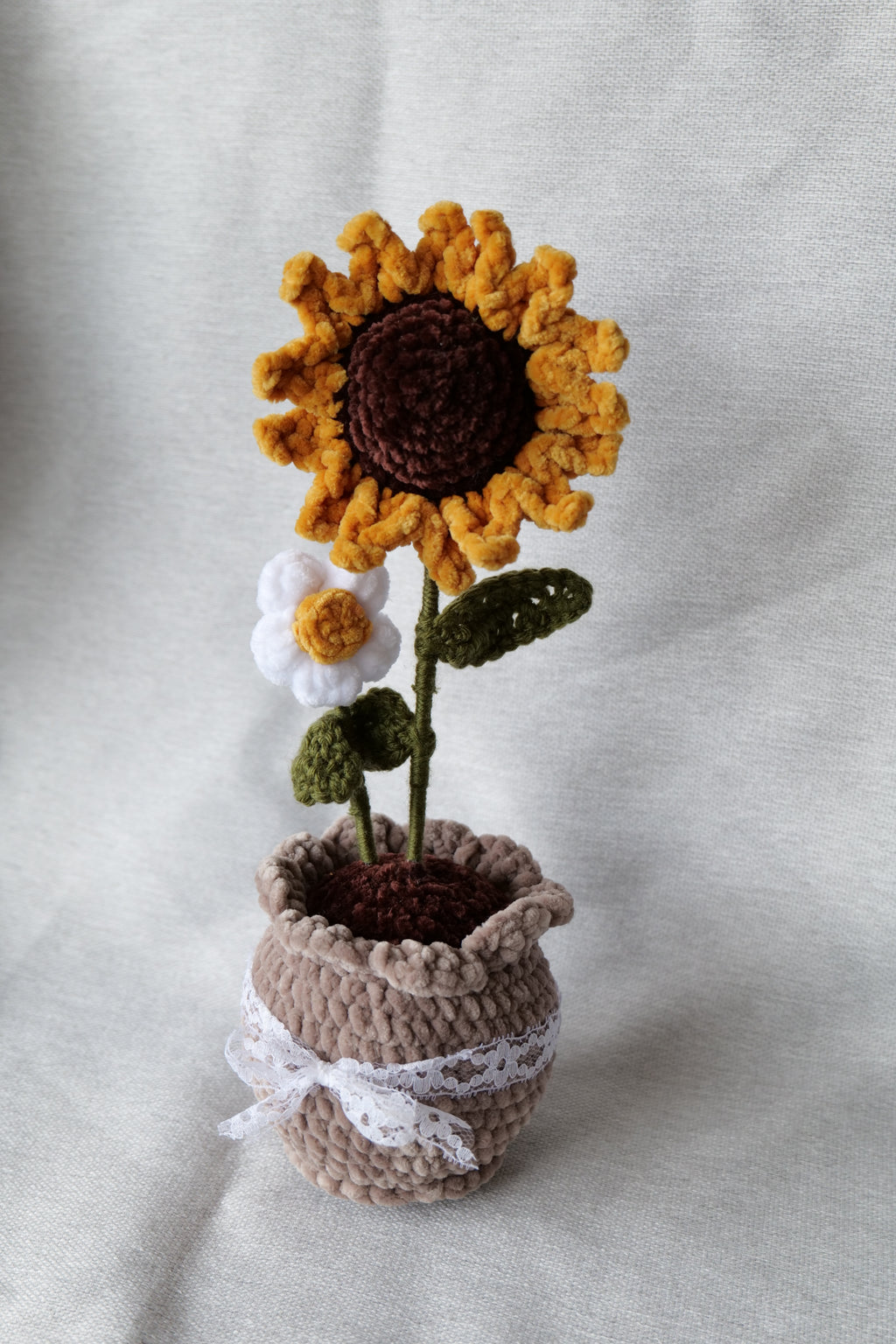 Tournesol et sa petite fleur