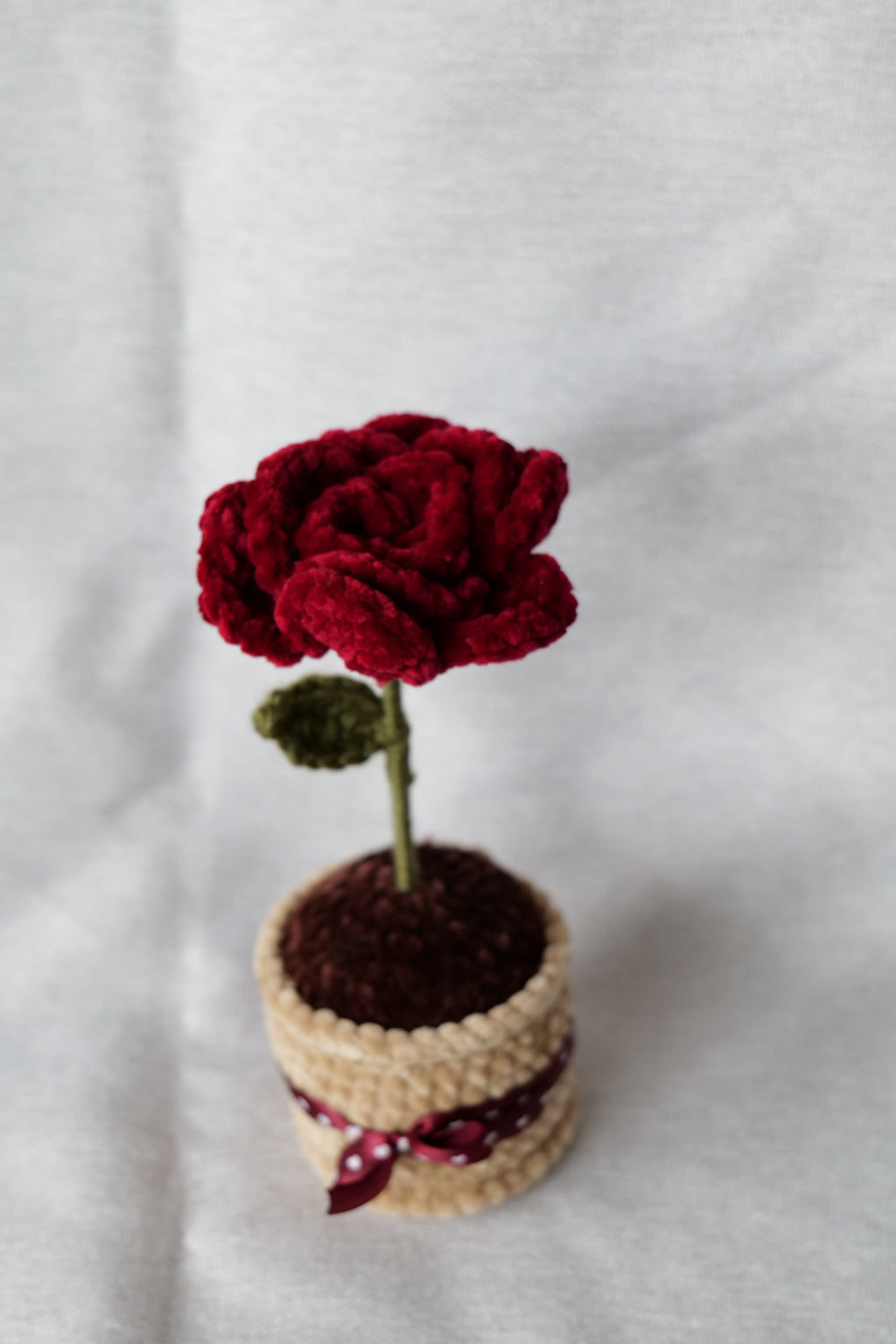 Rose Éternelle