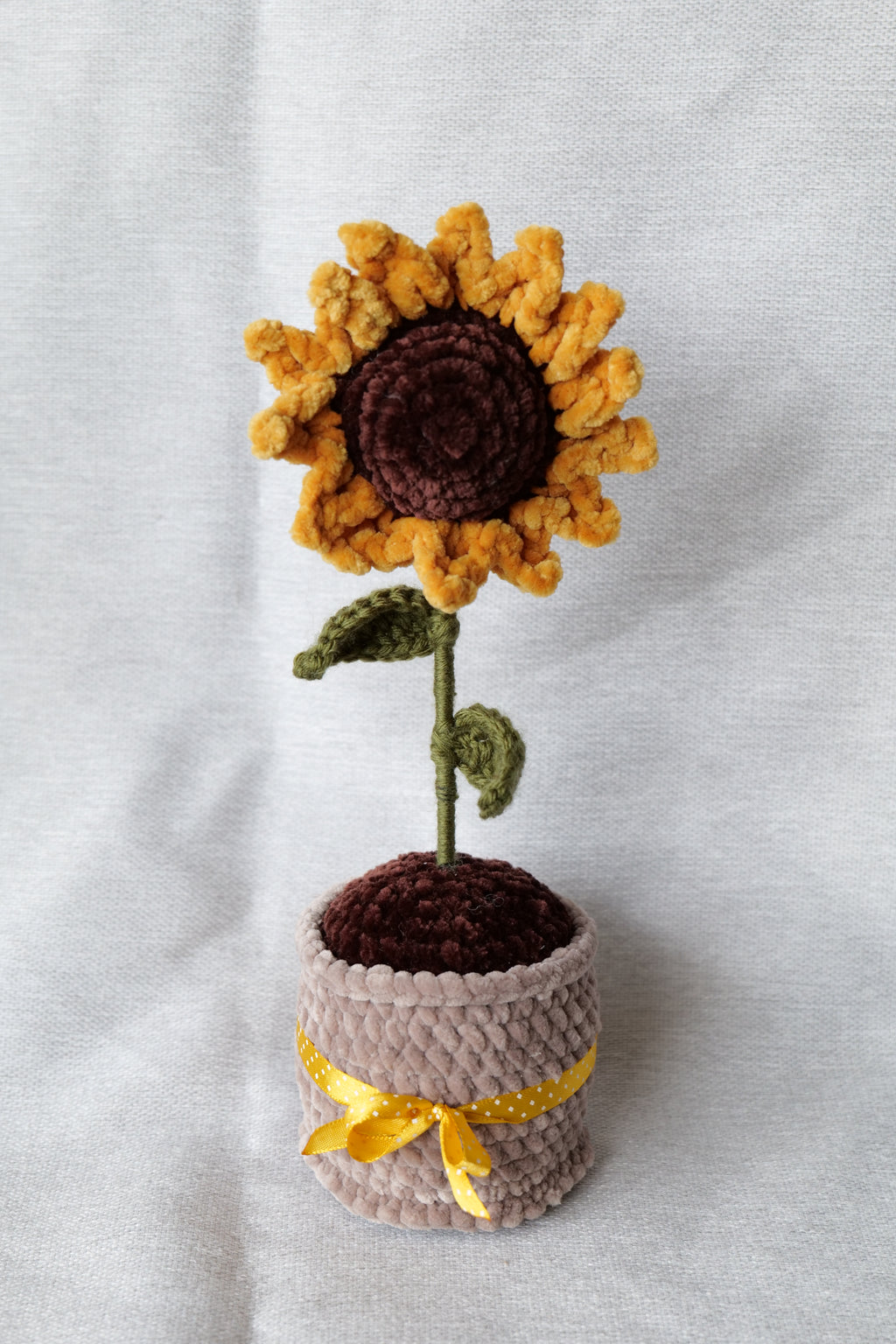Tournesol en pot