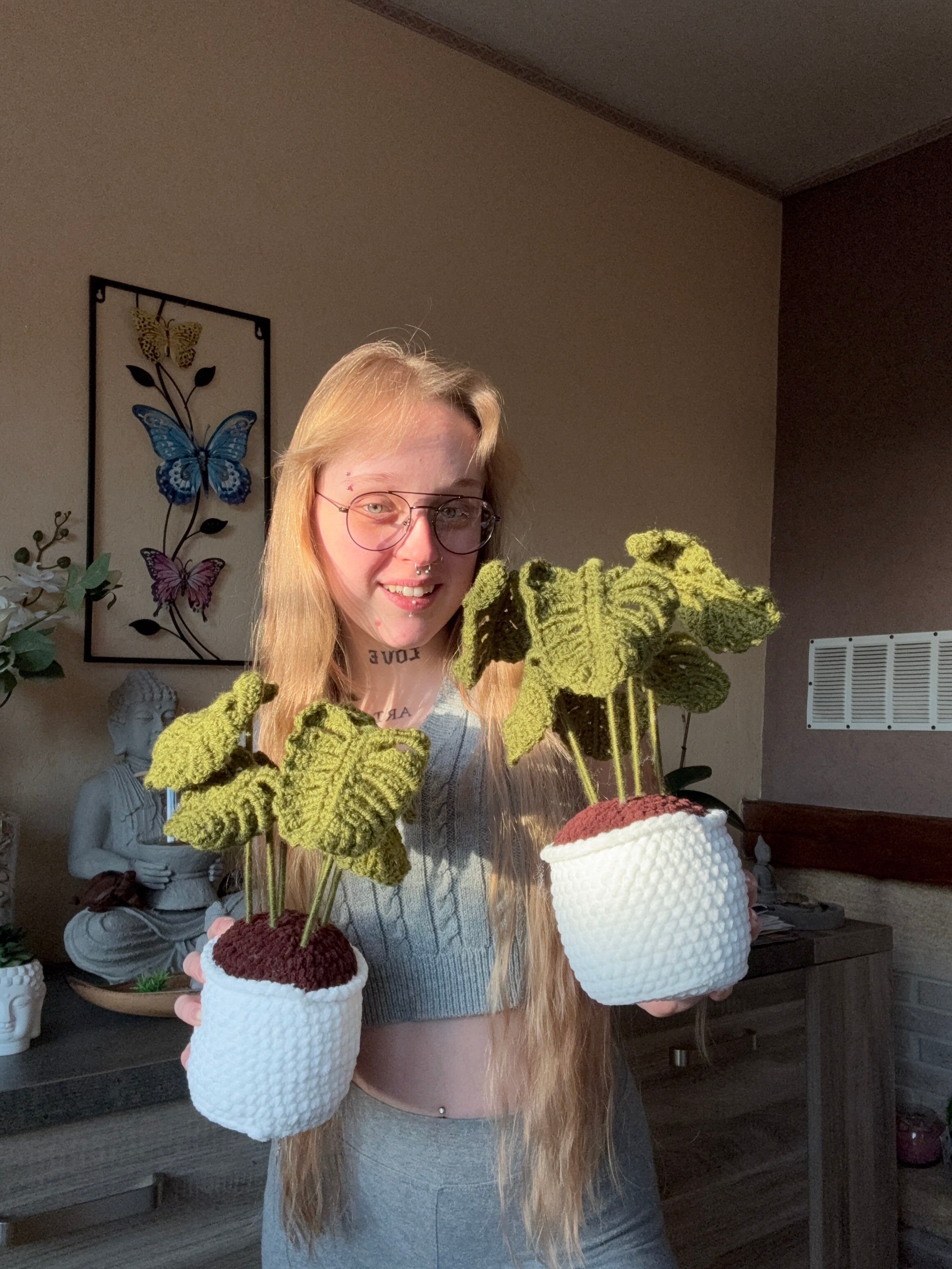 Petite Monstera 25+/-cm