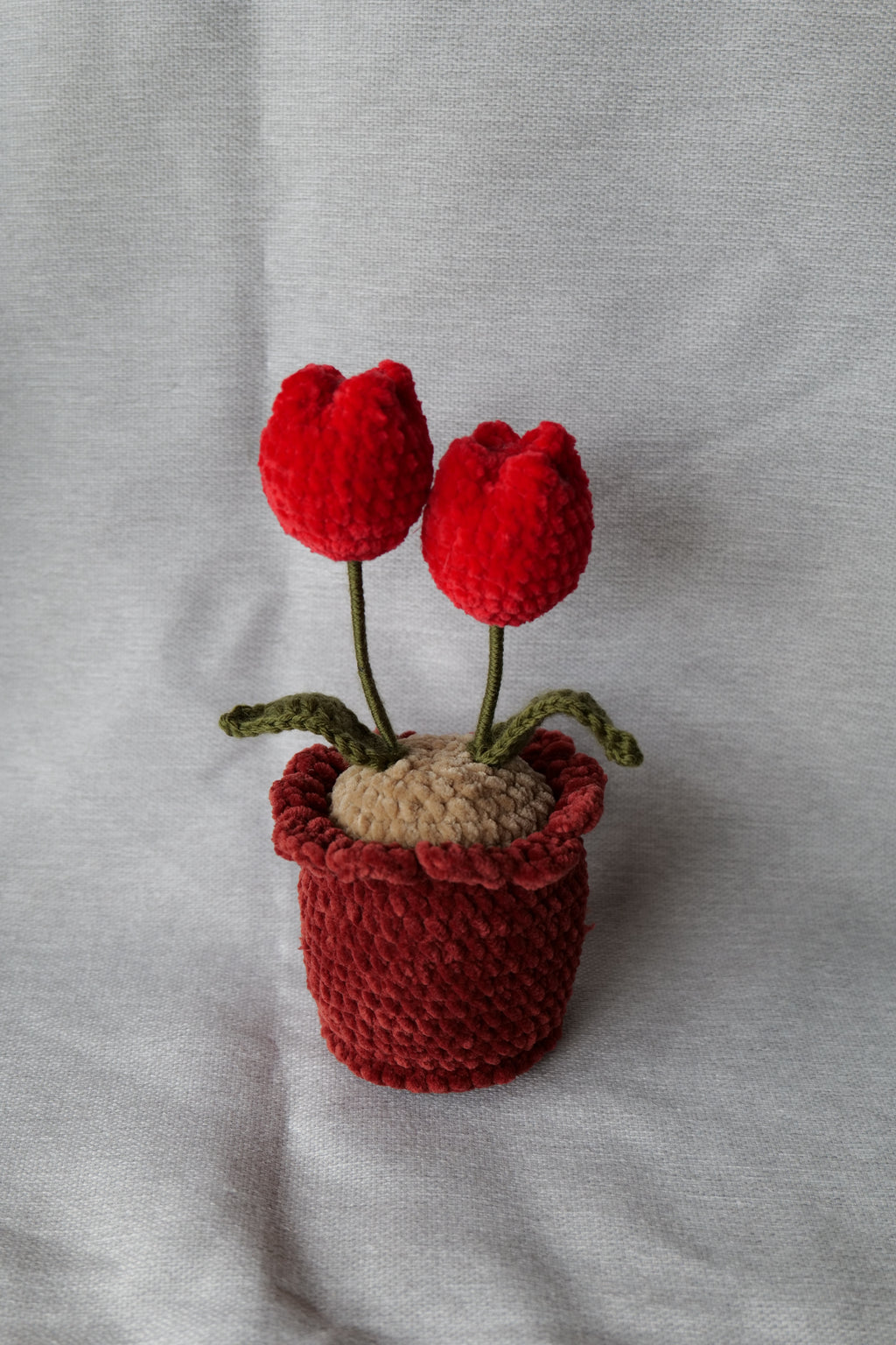 Tulipes en pot