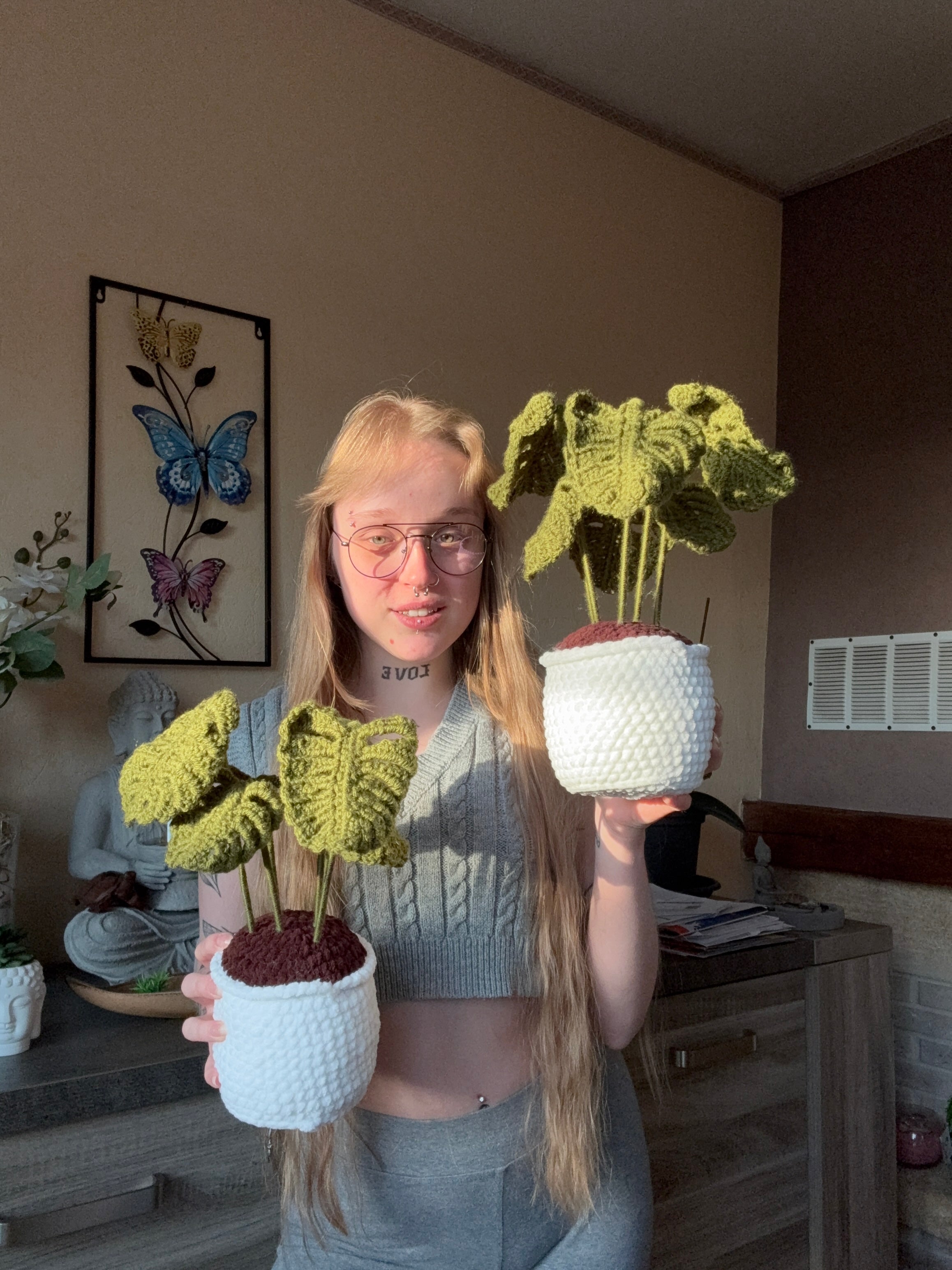 Petite Monstera 25+/-cm