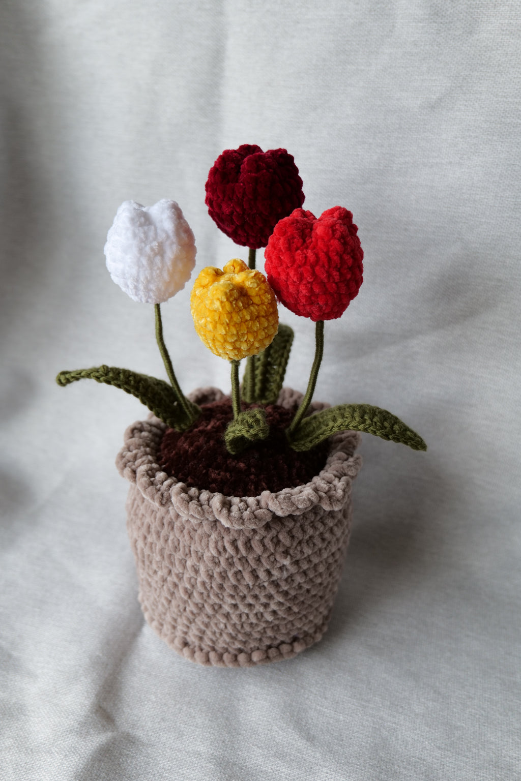 4 Tulipes en pot