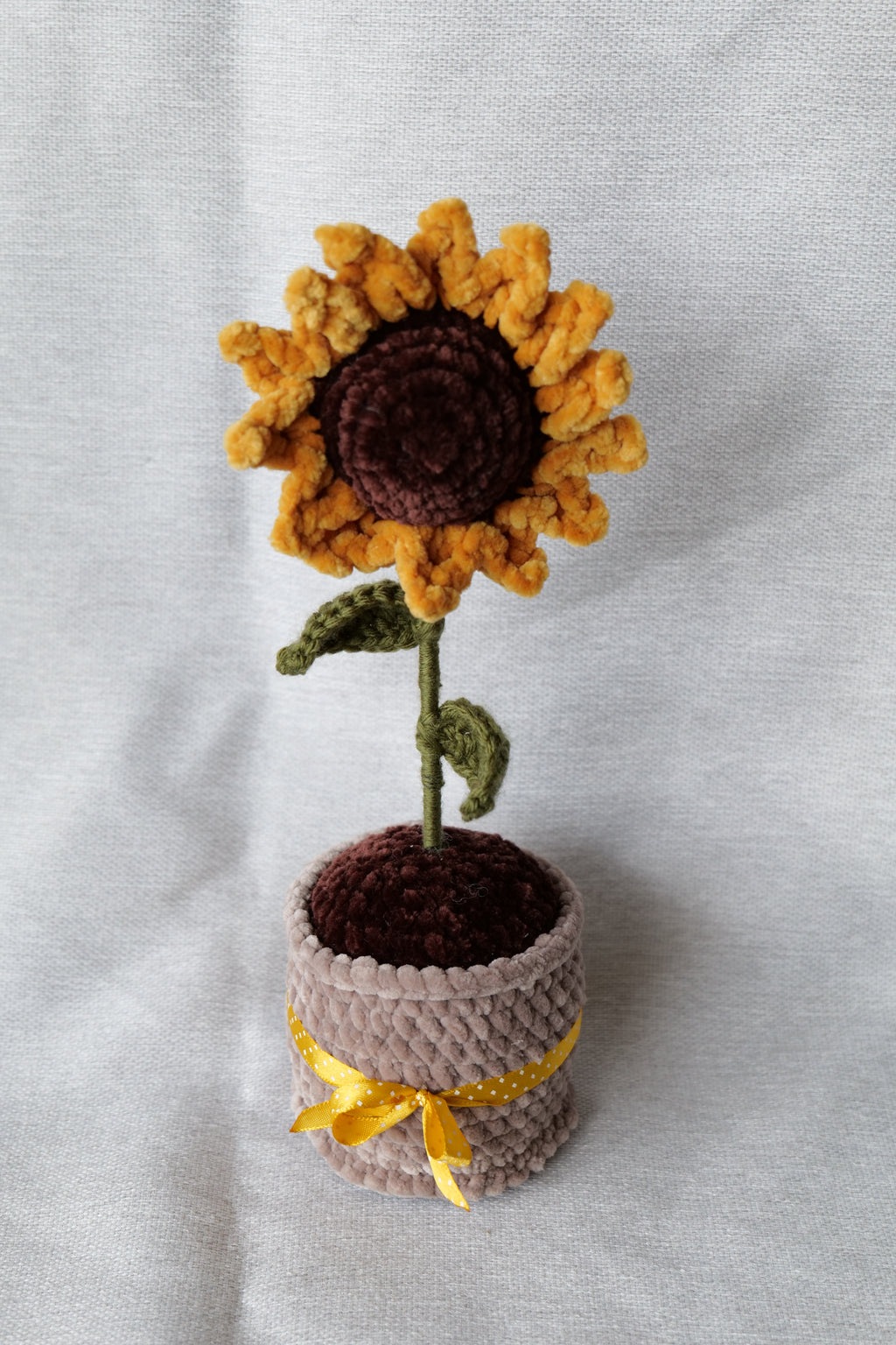 Tournesol en pot