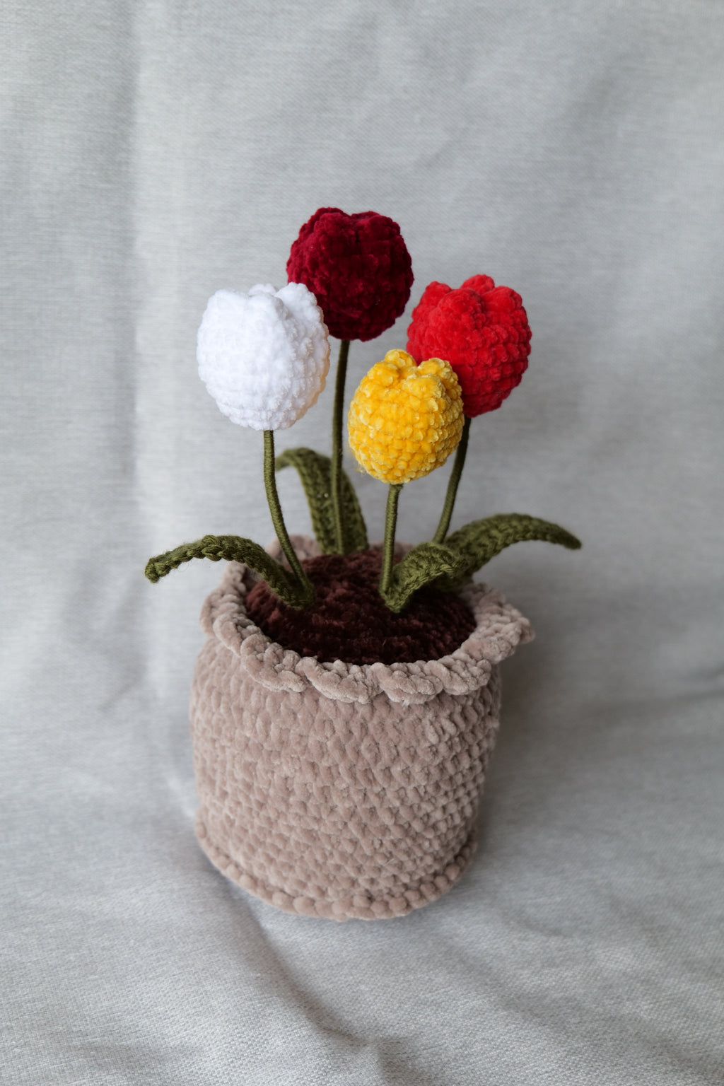 4 Tulipes en pot