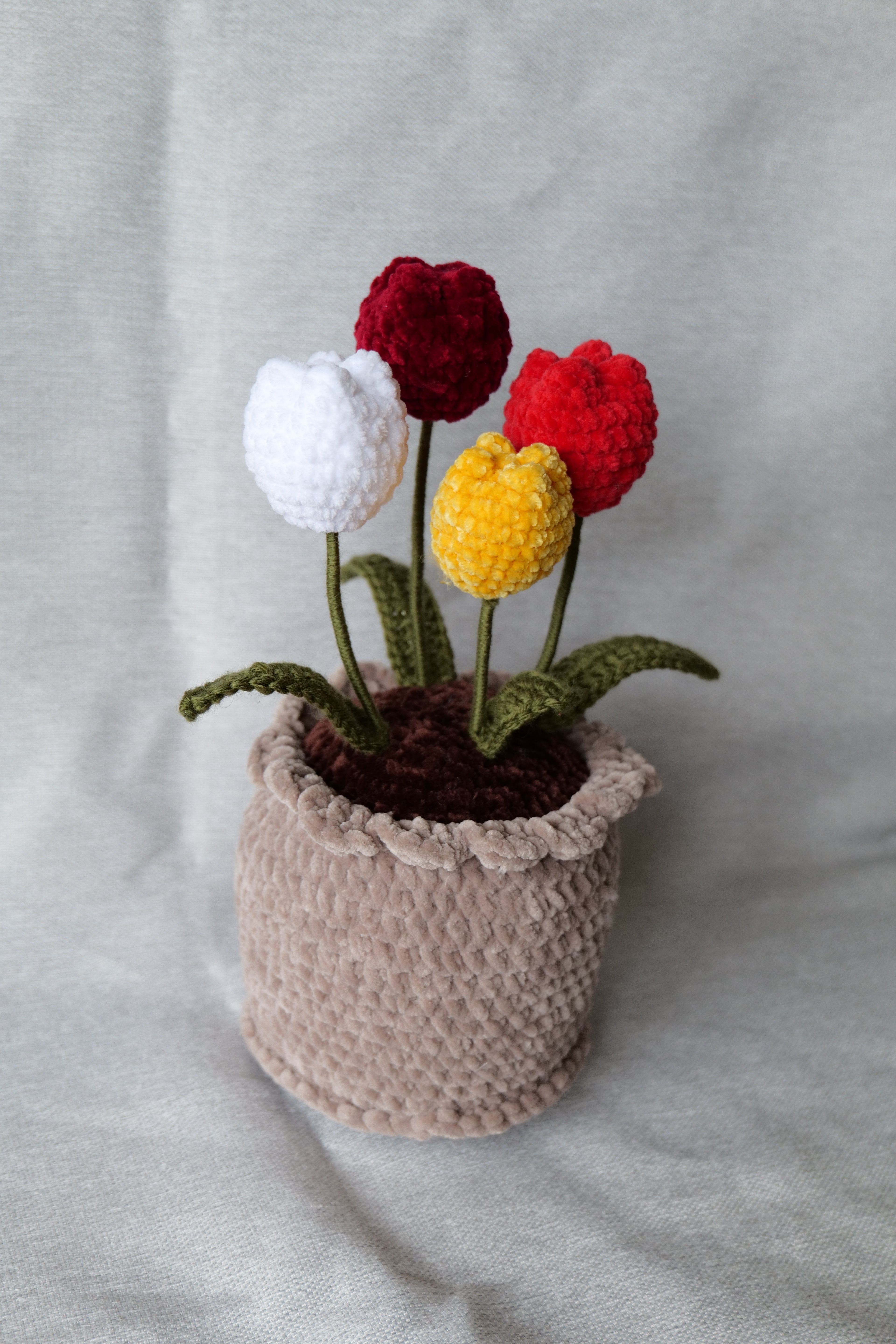 4 Tulipes en pot