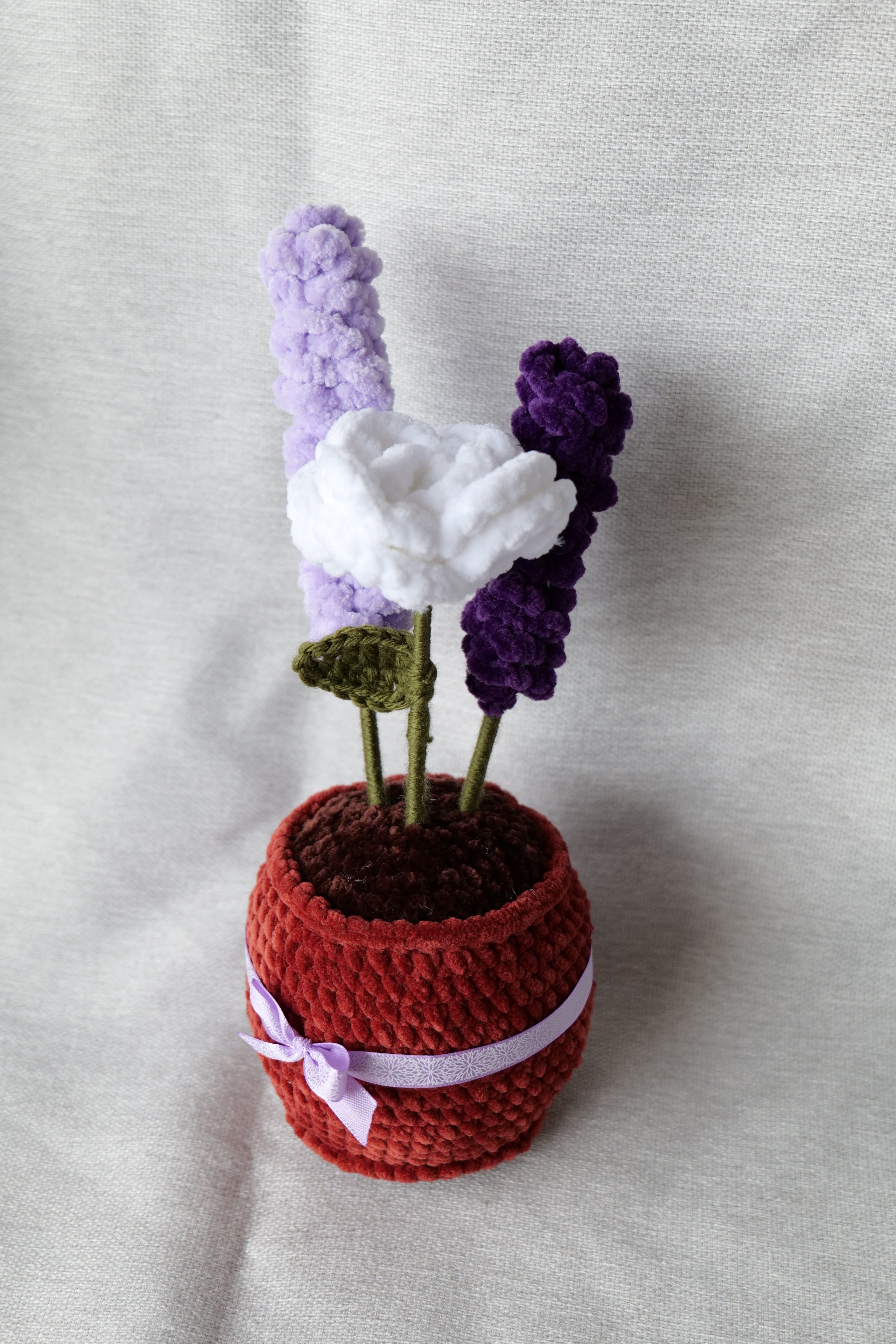 La rose et ses lavandes