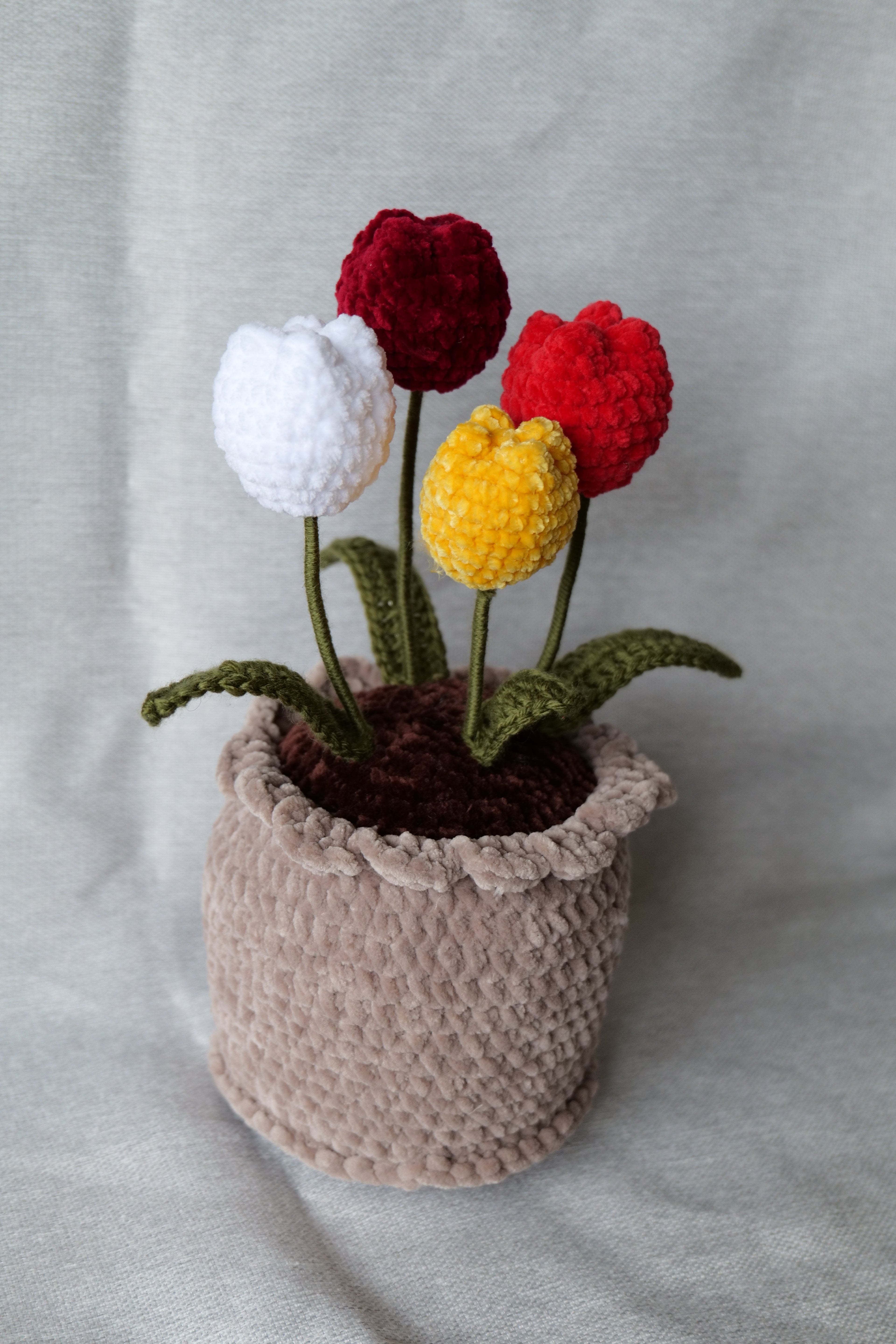 4 Tulipes en pot