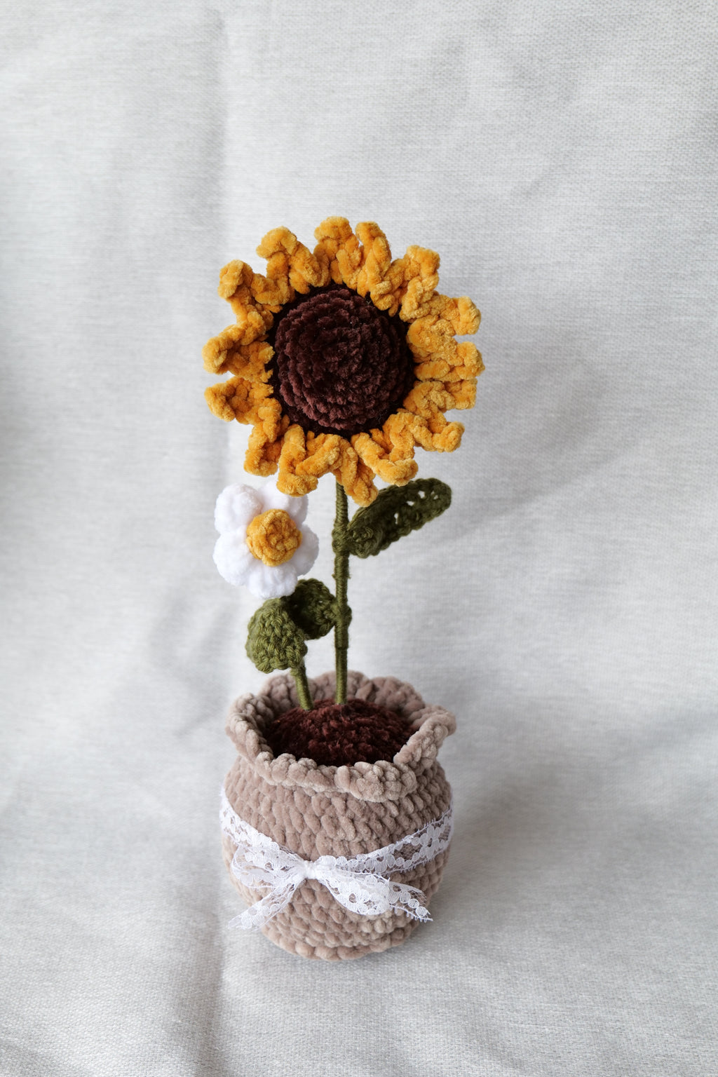 Tournesol et sa petite fleur