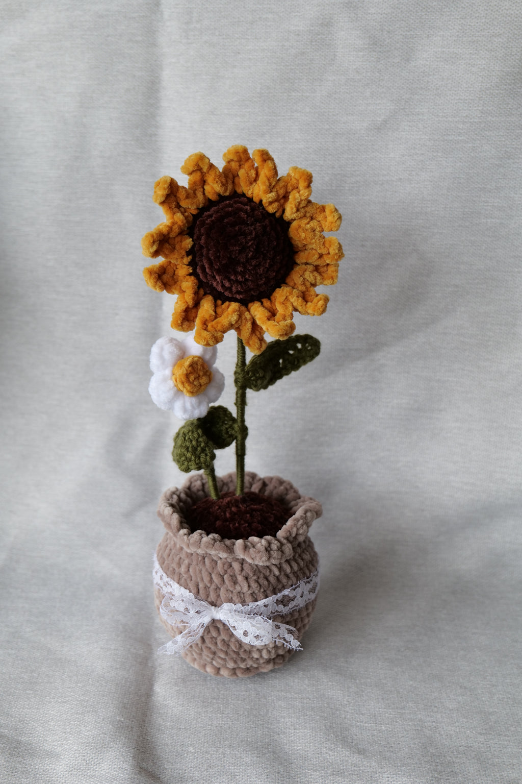 Tournesol et sa petite fleur