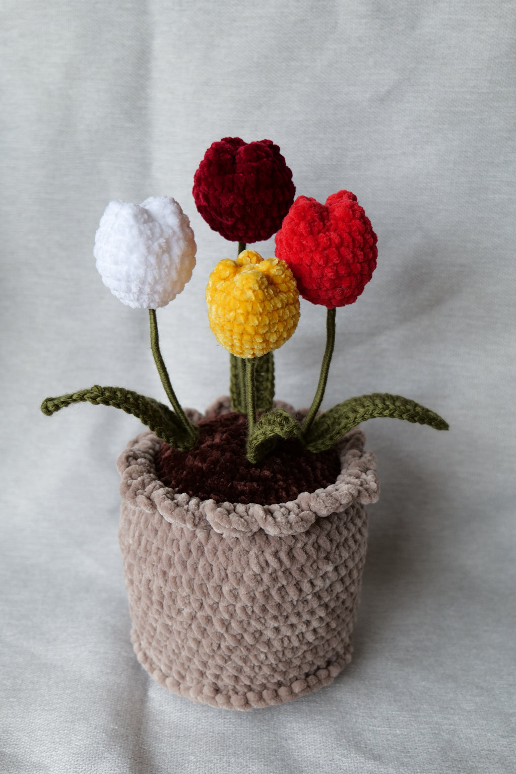 4 Tulipes en pot