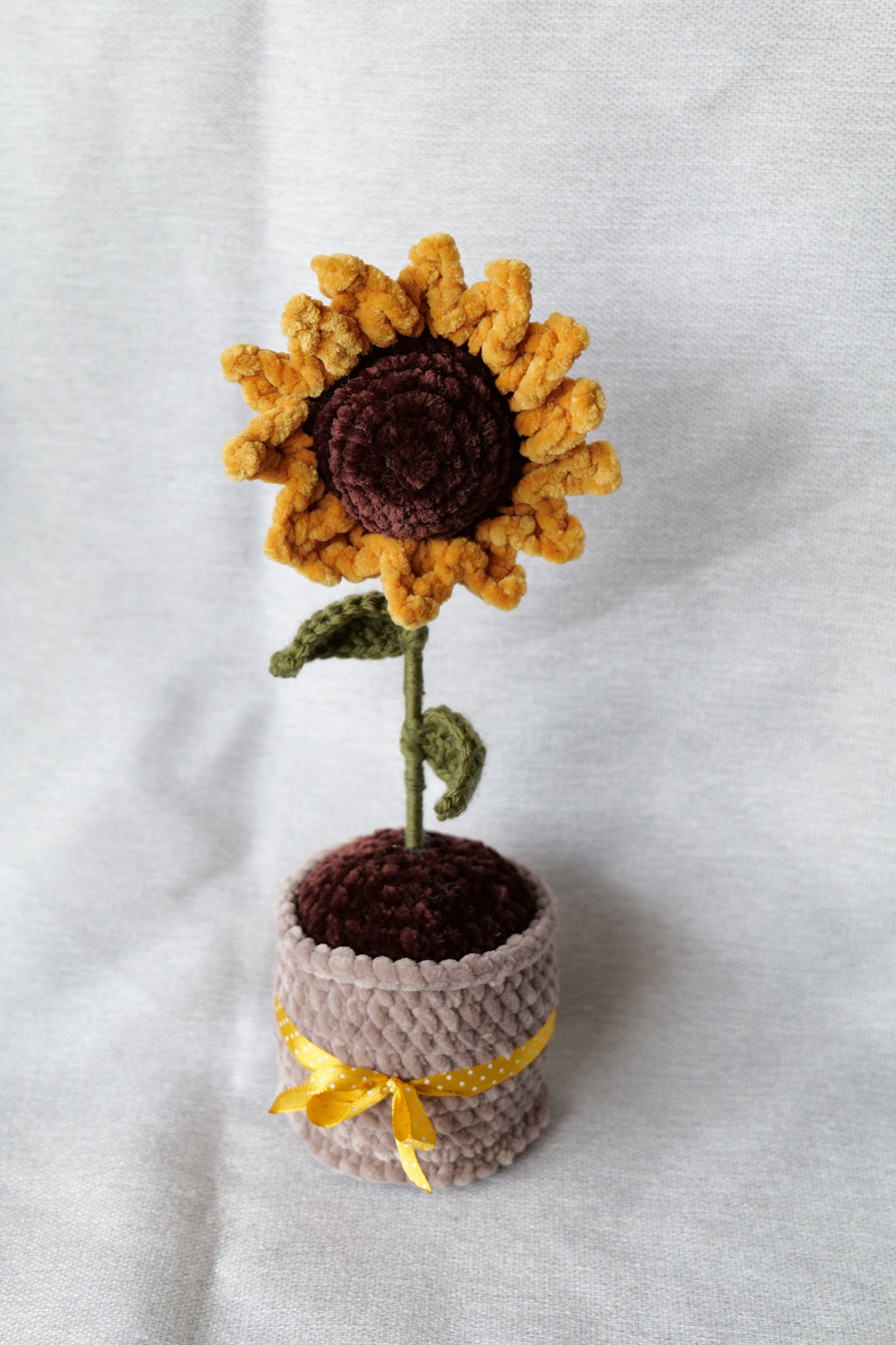 Tournesol en pot