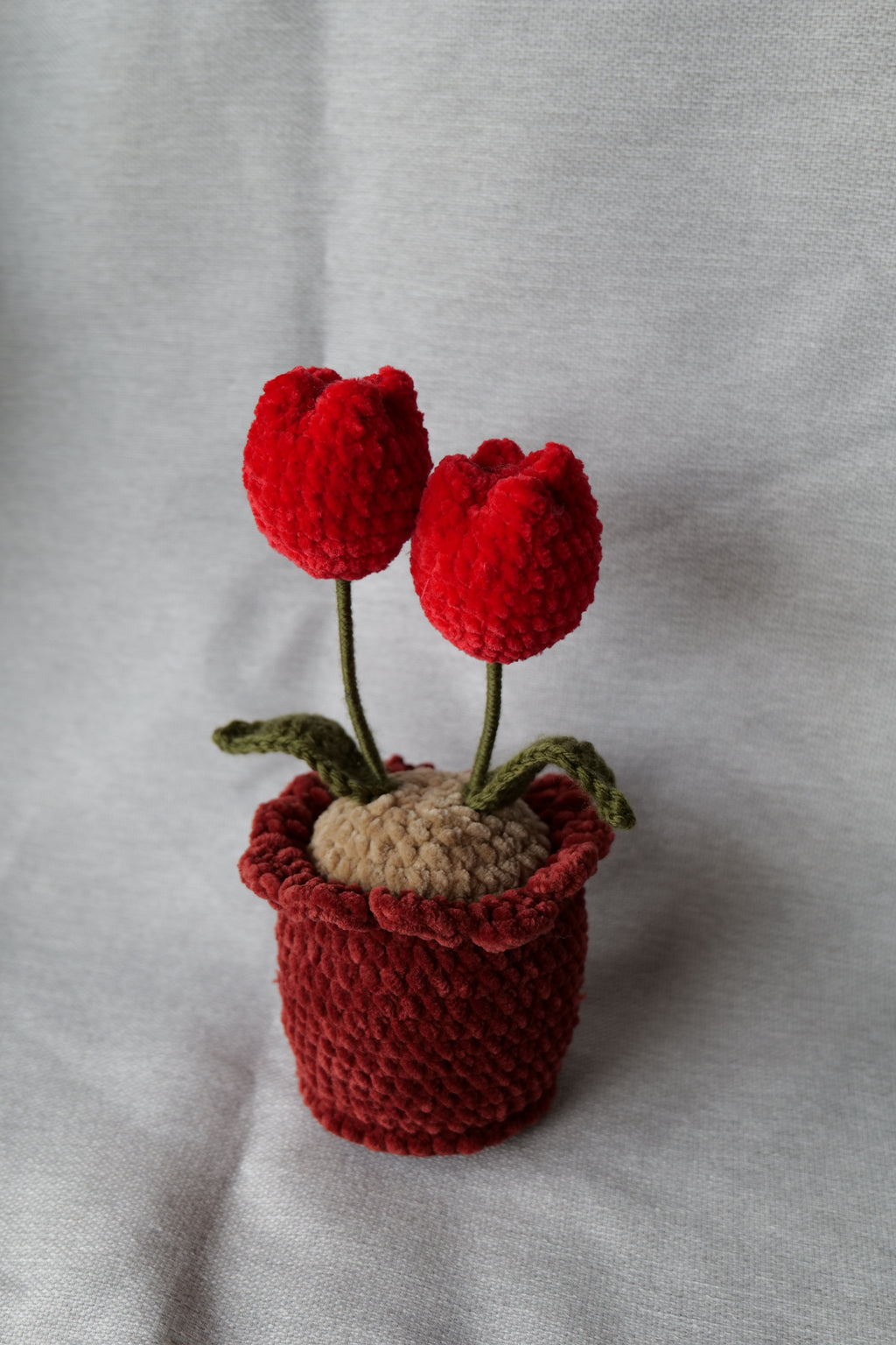 Tulipes en pot