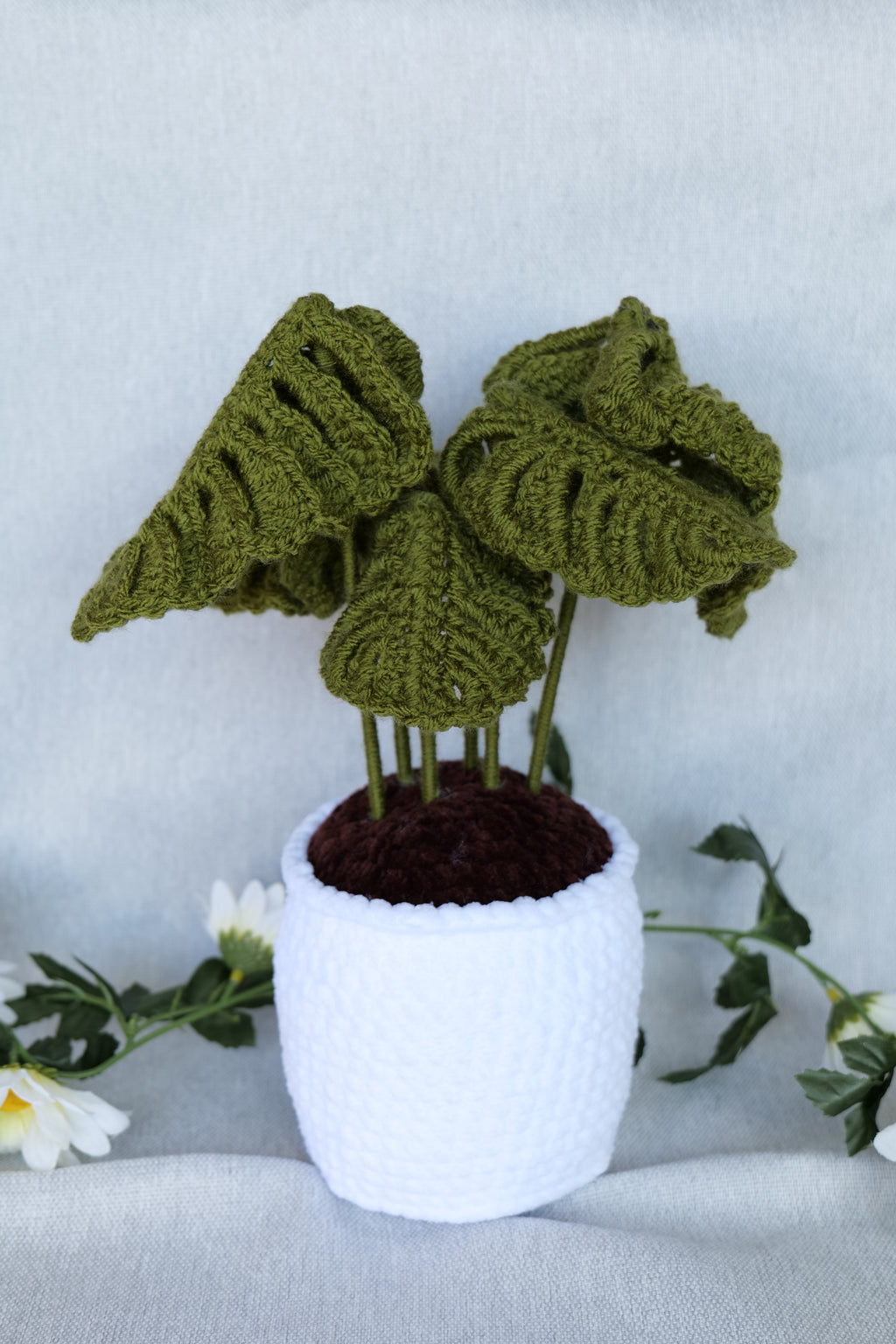 Plante Monstera 3 tailles Disponibles
