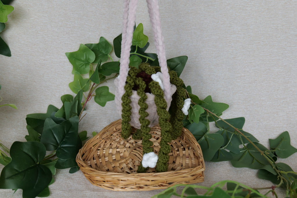 Plante tombante