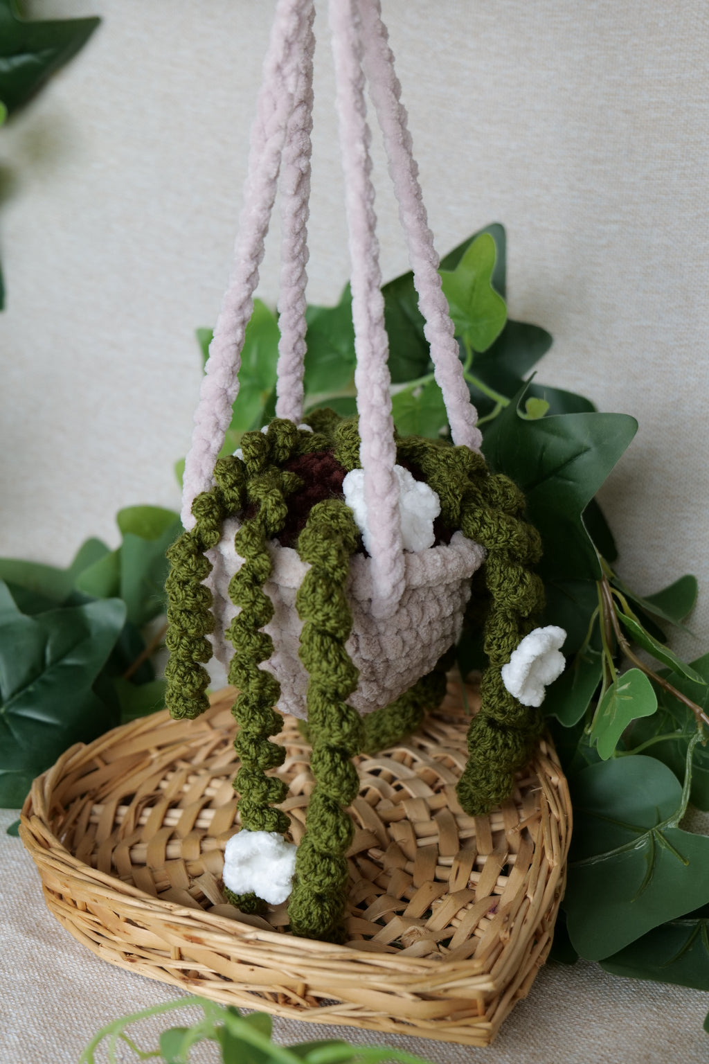 Plante tombante