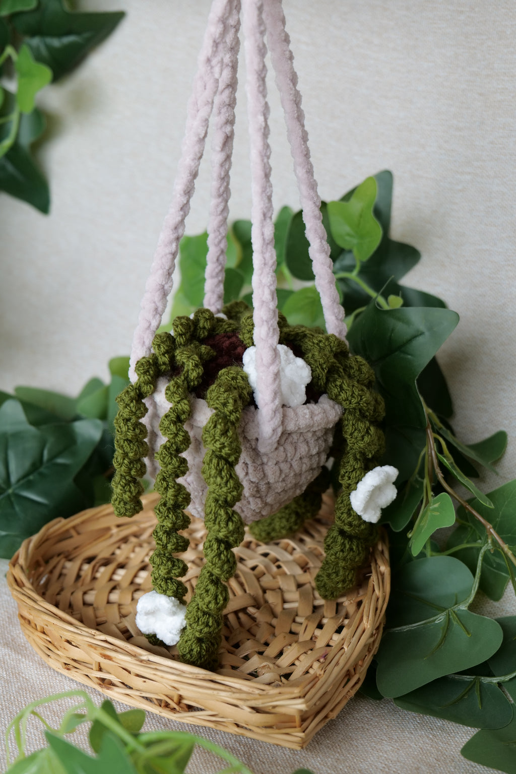 Plante tombante